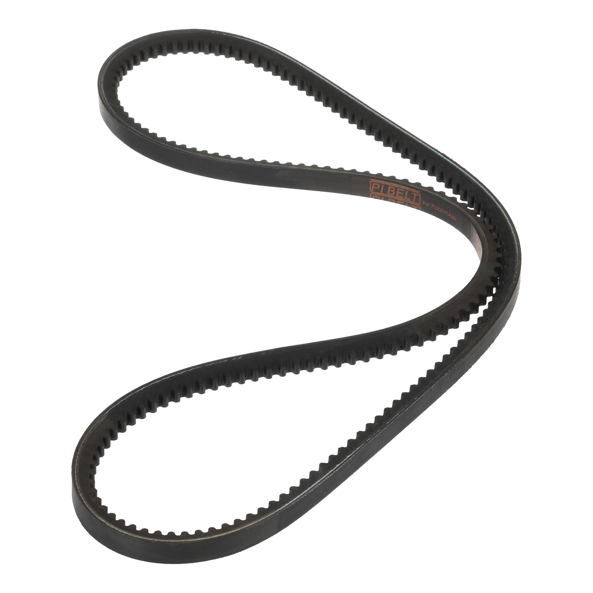 BELT | CASECE | US | EN