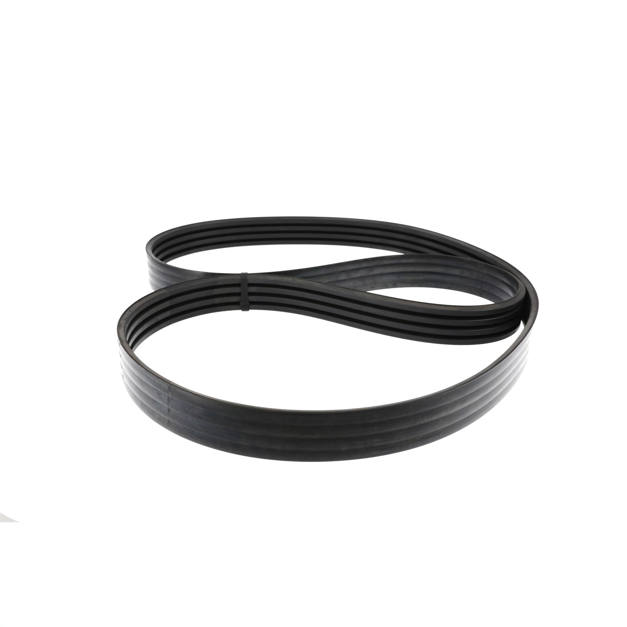 BELT | CASECE | AMEA | EN