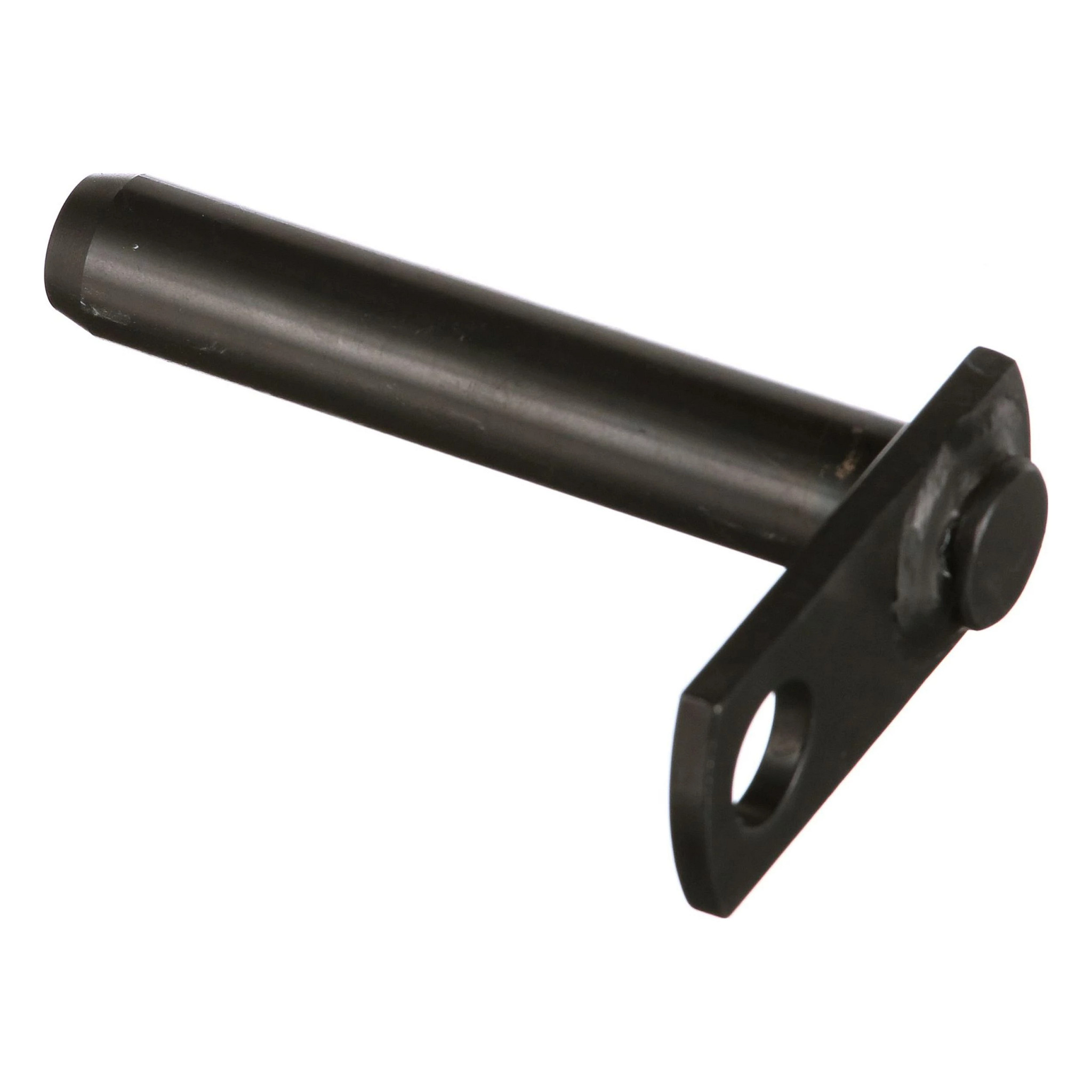 KOPFZAPFEN | CASECE | EU | FR