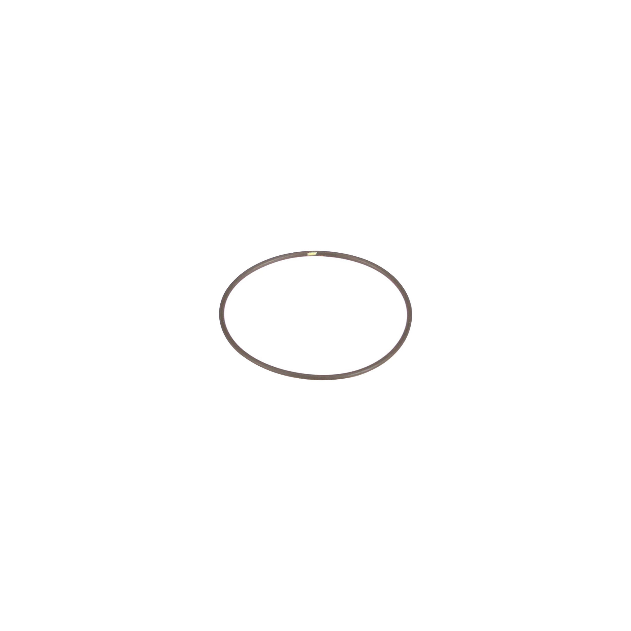 O-RING | NEWHOLLANDCE | EU | IT