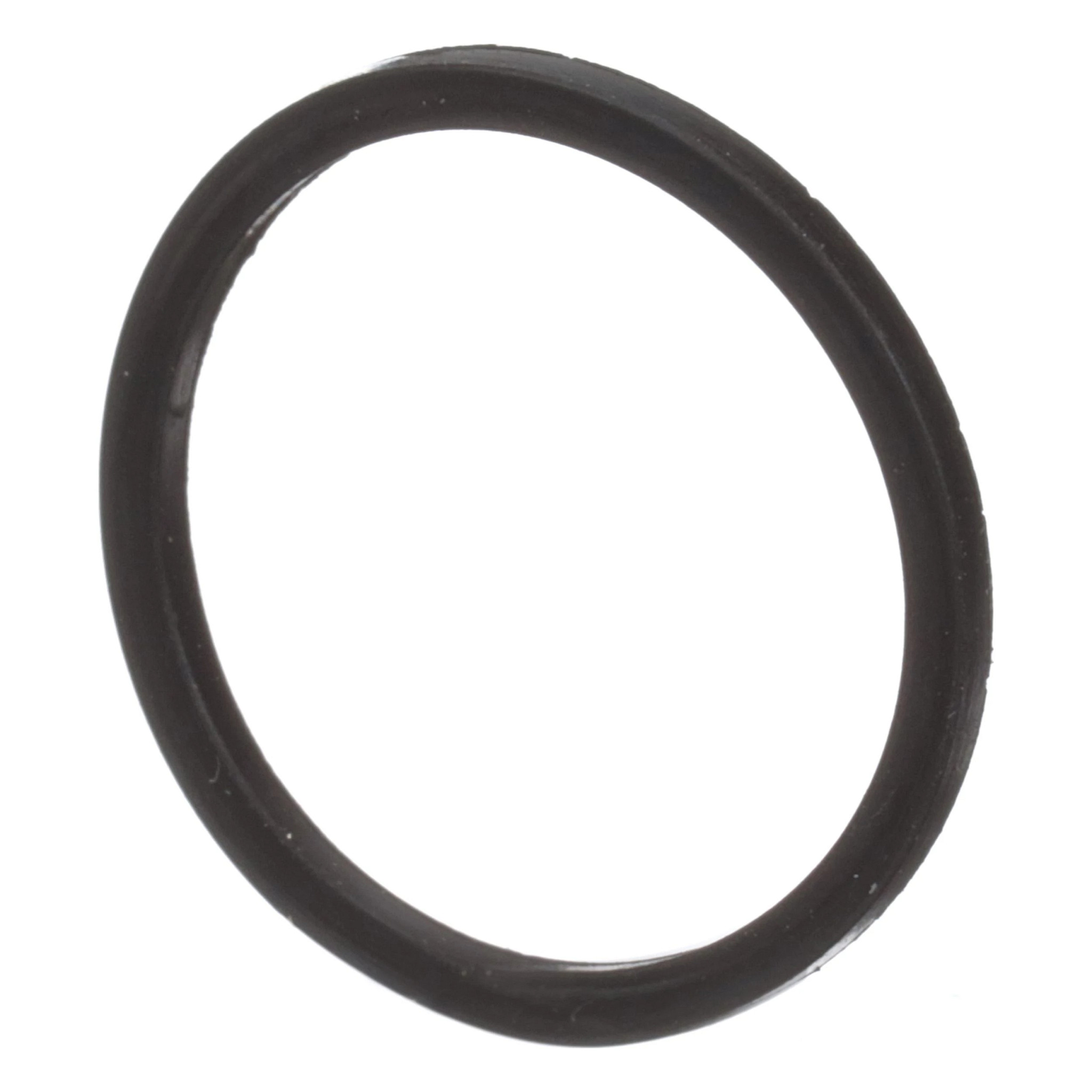 Backup Ring