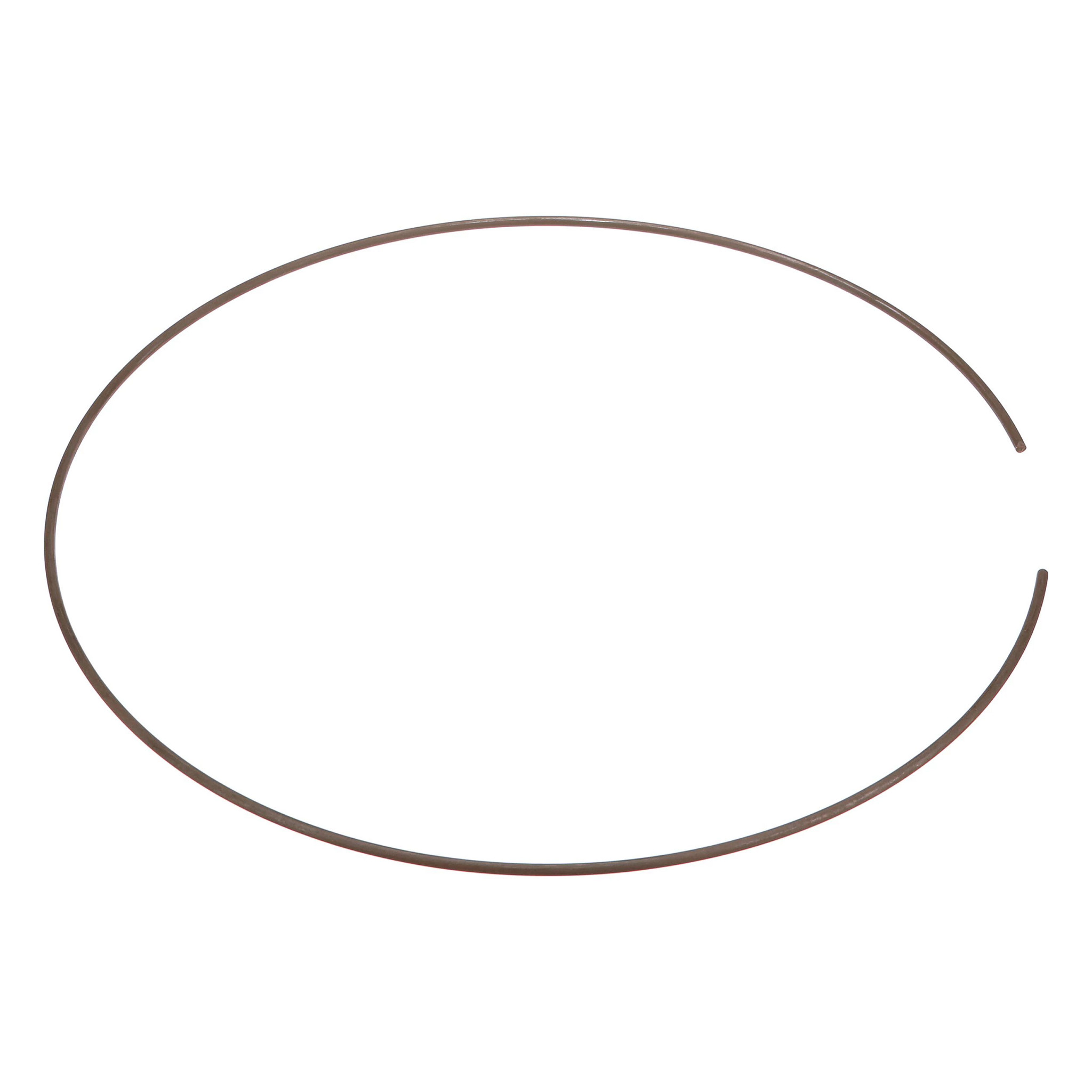 ANILLO | CASECE | MX | ES