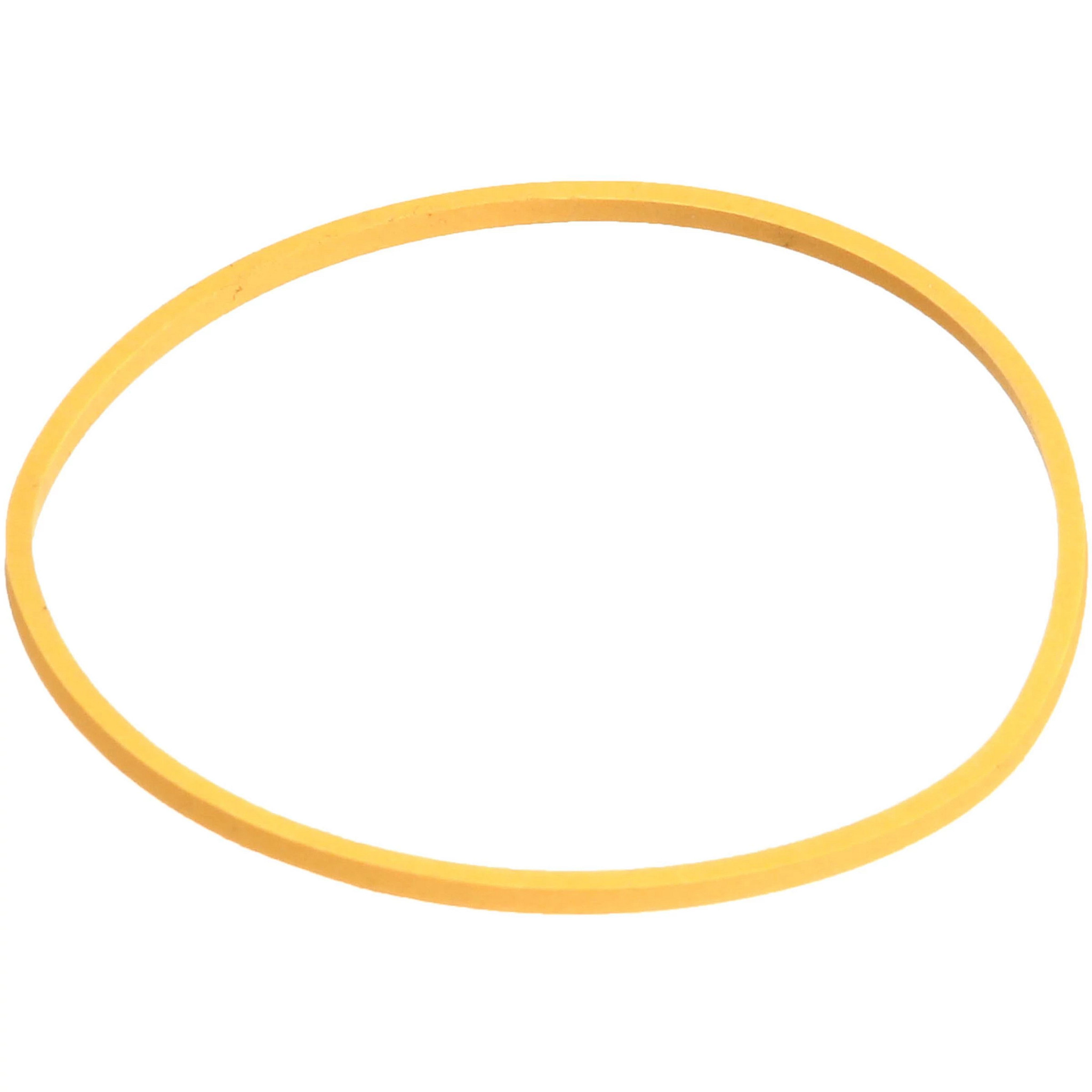 SEALING RING | CASEIH | IE | EN