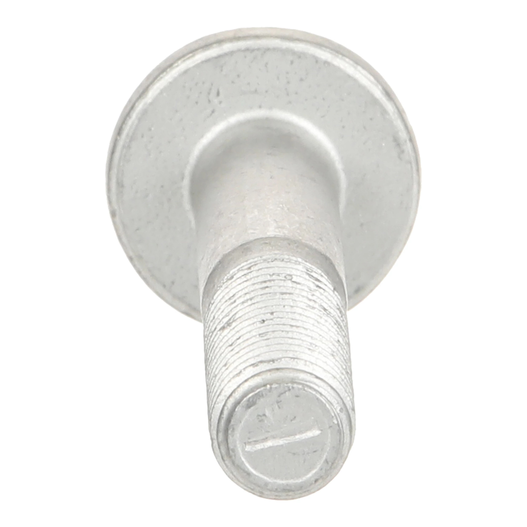 SCREW | CASECE | US | EN