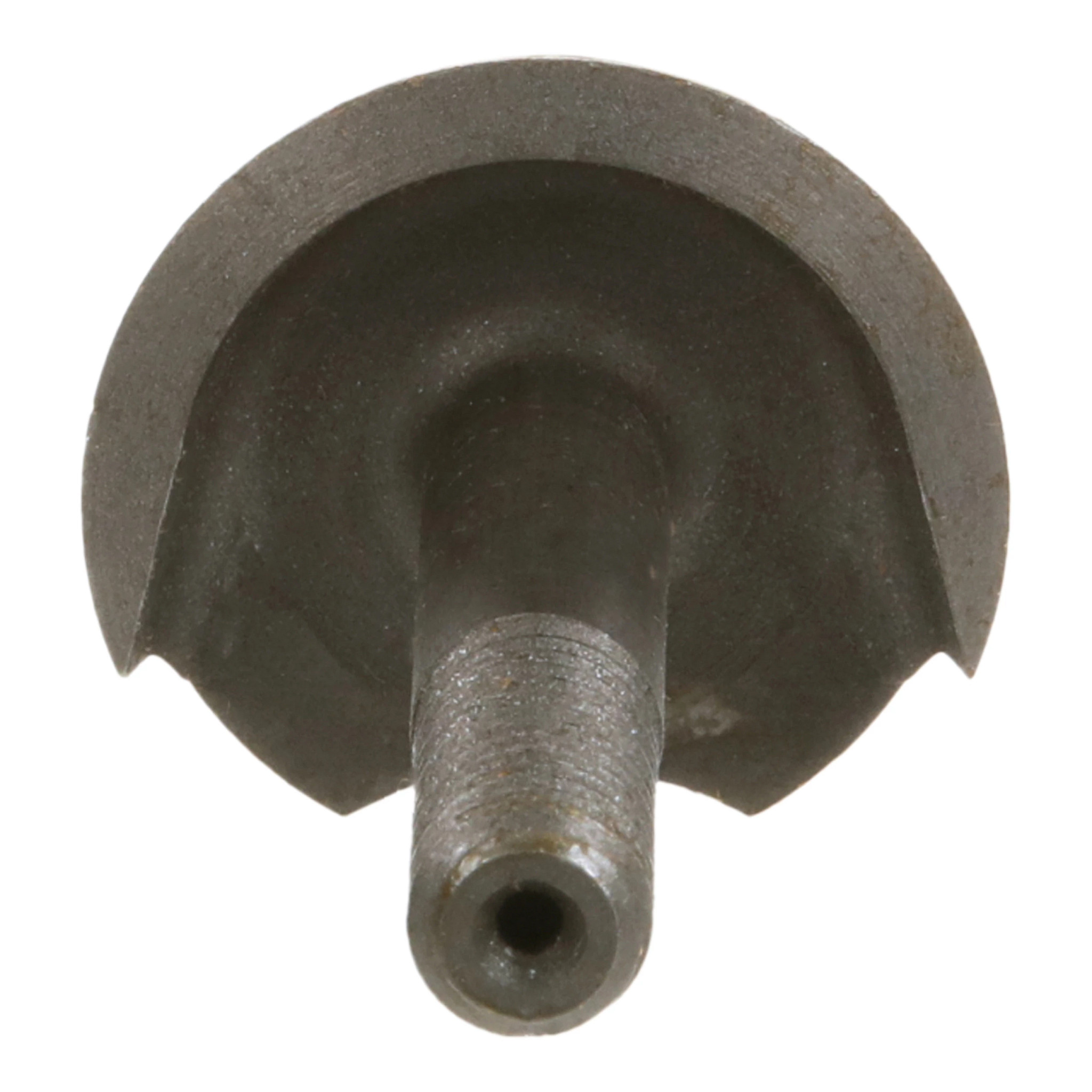 BOLT | DEFAULT | AMEA | EN