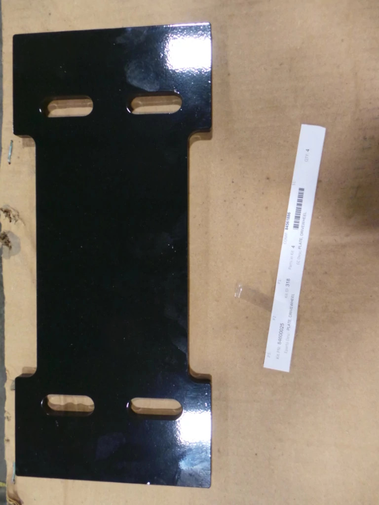 PLATE | CASECE | AMEA | EN