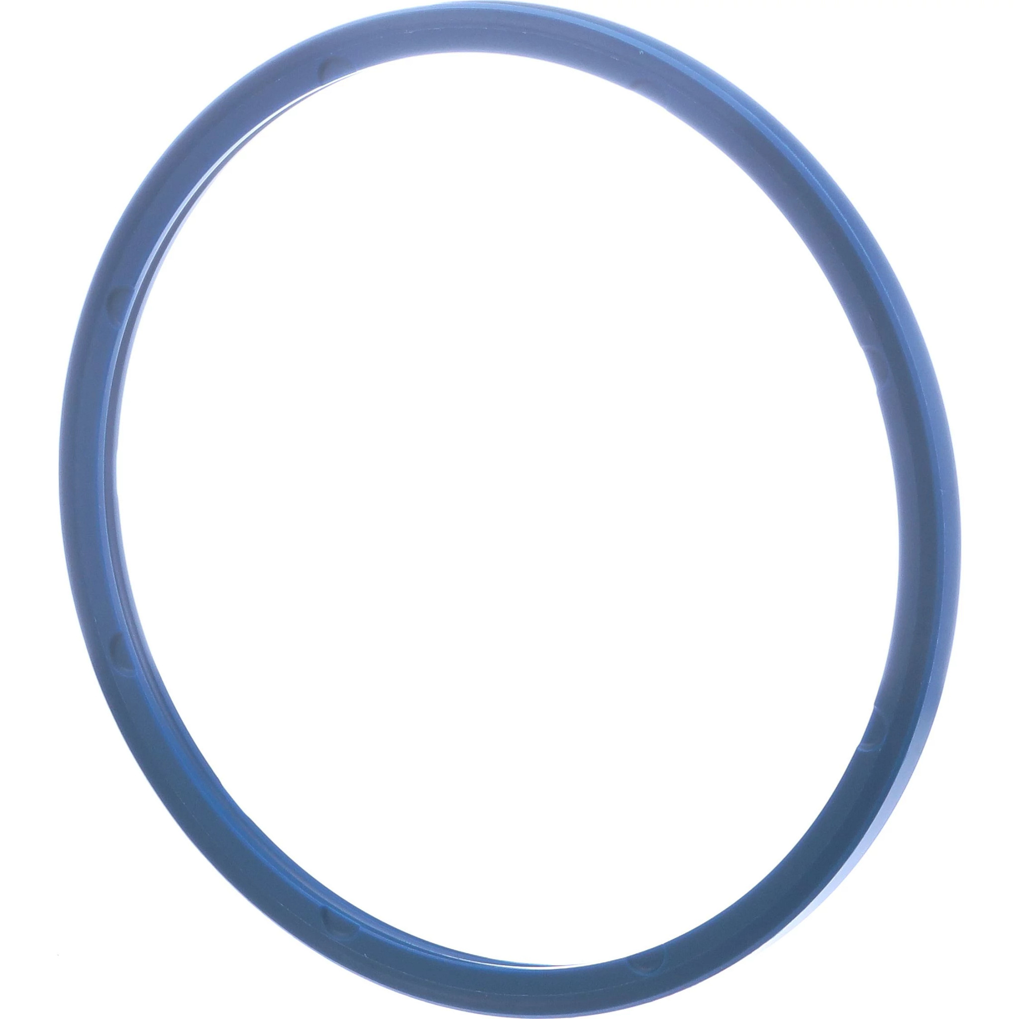 SEAL, RING | CASECE | CA | EN