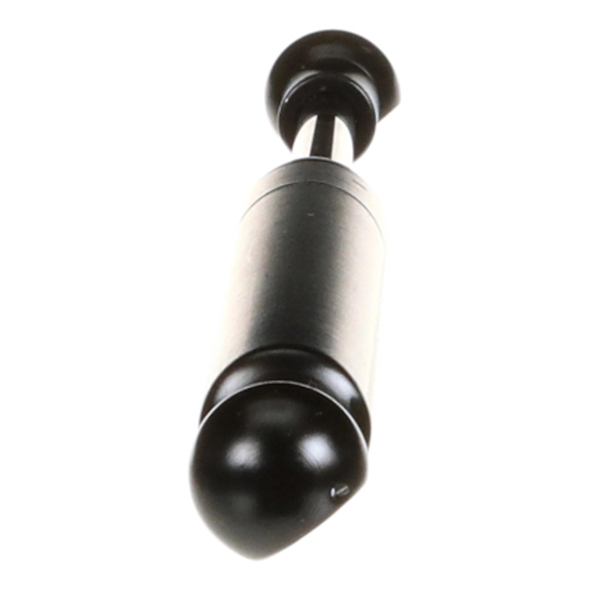 GAS STRUT | CASECE | US | EN