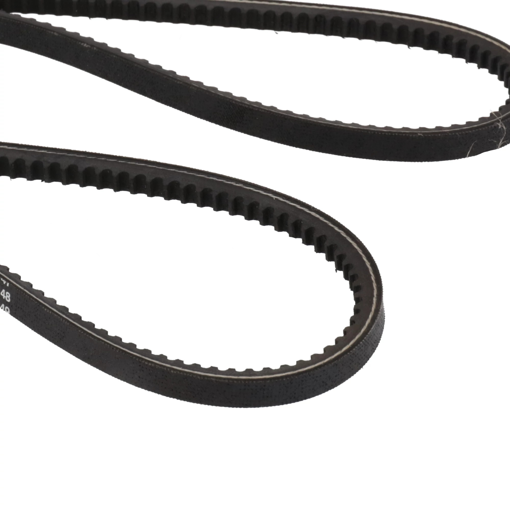 CORREIA | CASECE | EU | PT