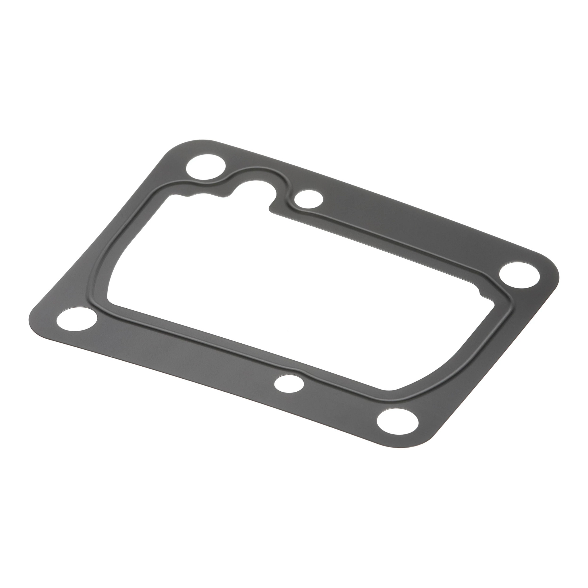 Shim | CASECE | US | EN