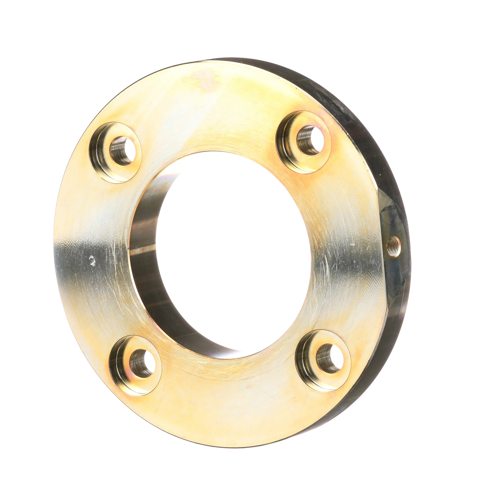 Lower Pivot Bearing Retainer | CASECE | BR | PT
