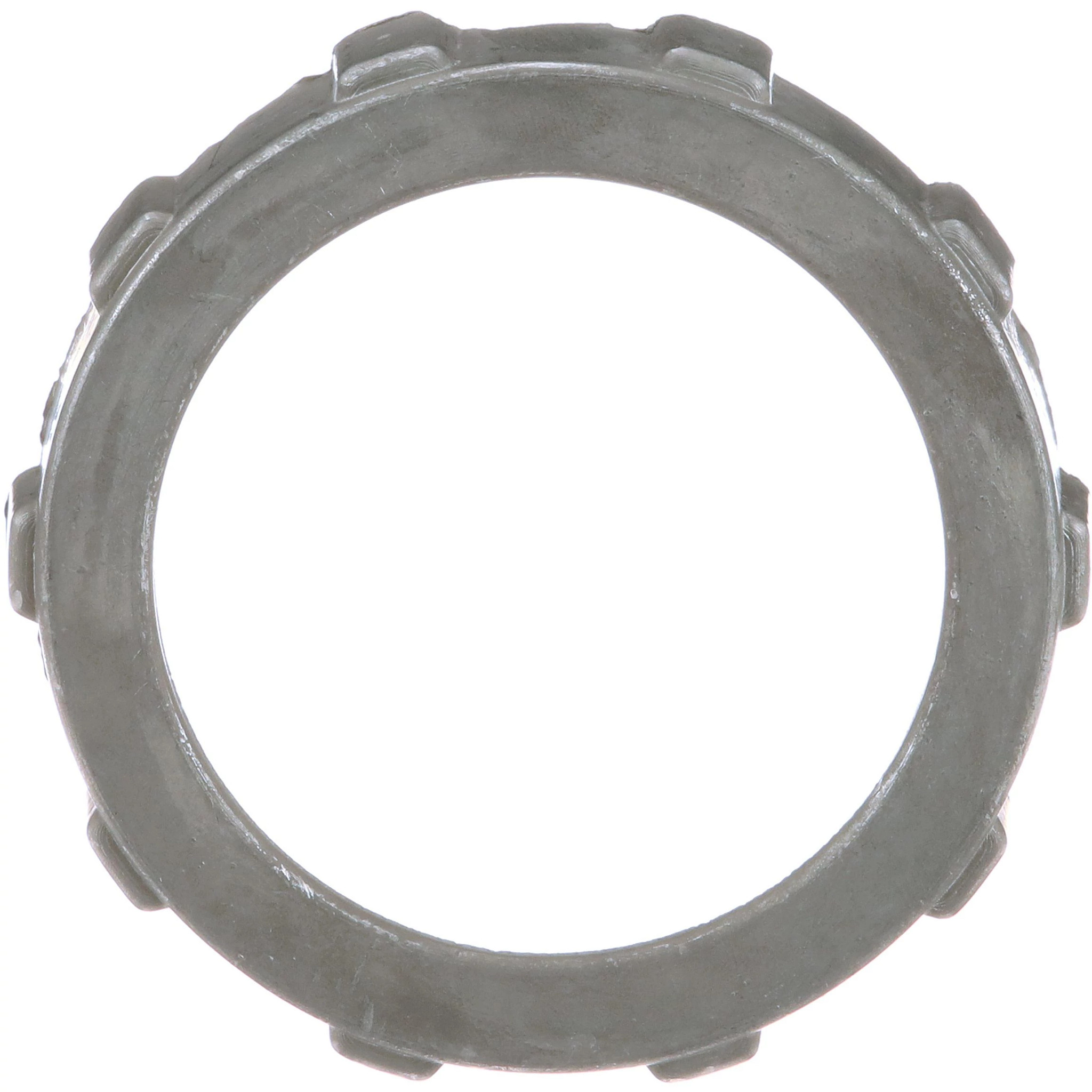 SPECIAL NUT | CASECE | AMEA | EN