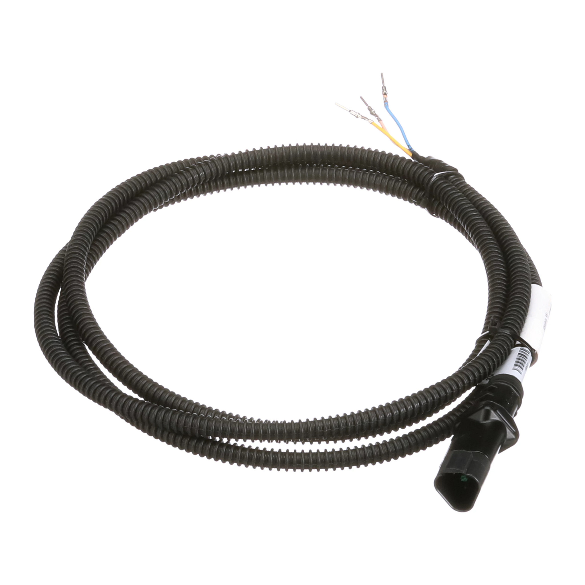 CHICOTE | CASECE | EU | NL