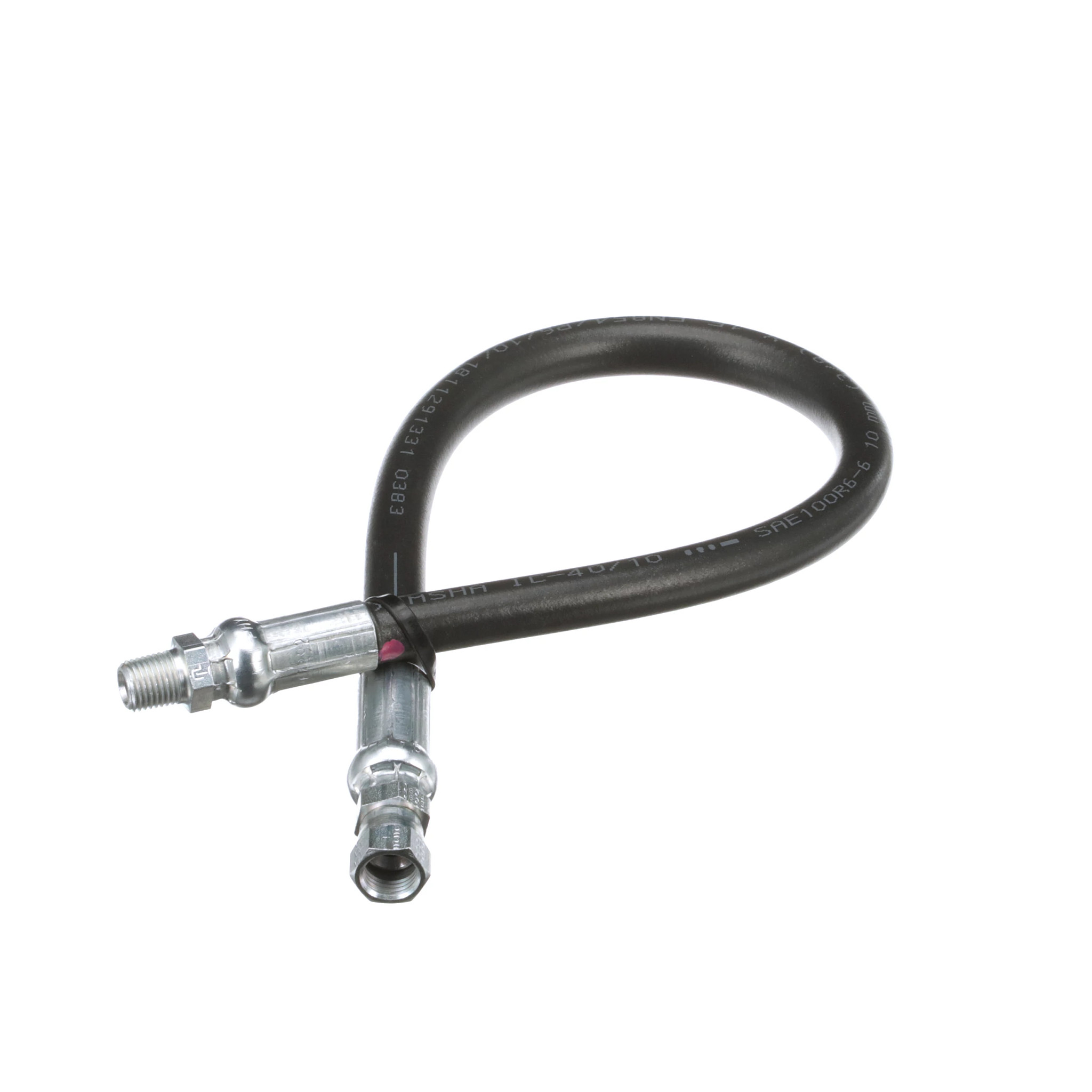 MANGUEIRA | CASEIH | BR | PT