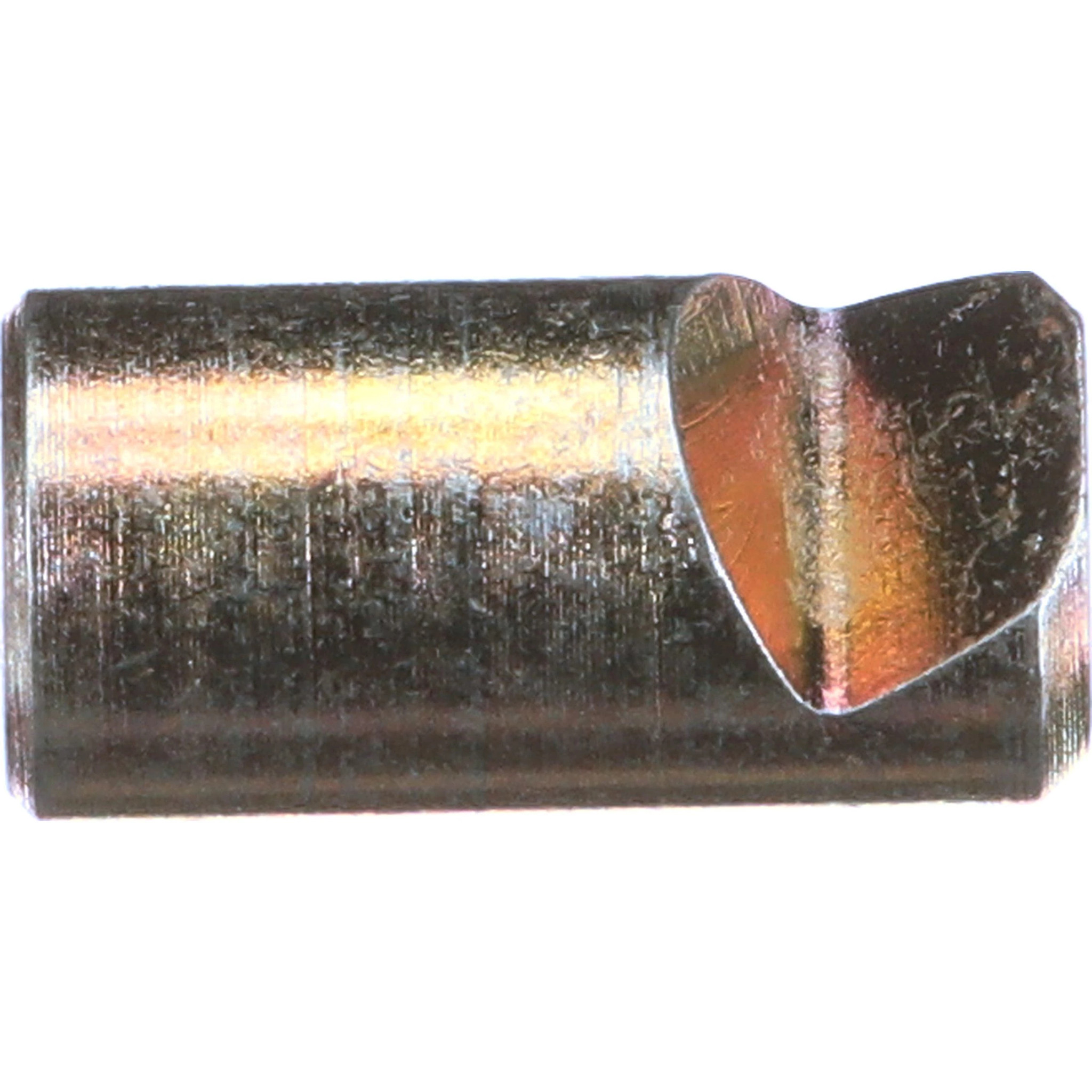 PAWL | CASECE | CA | EN