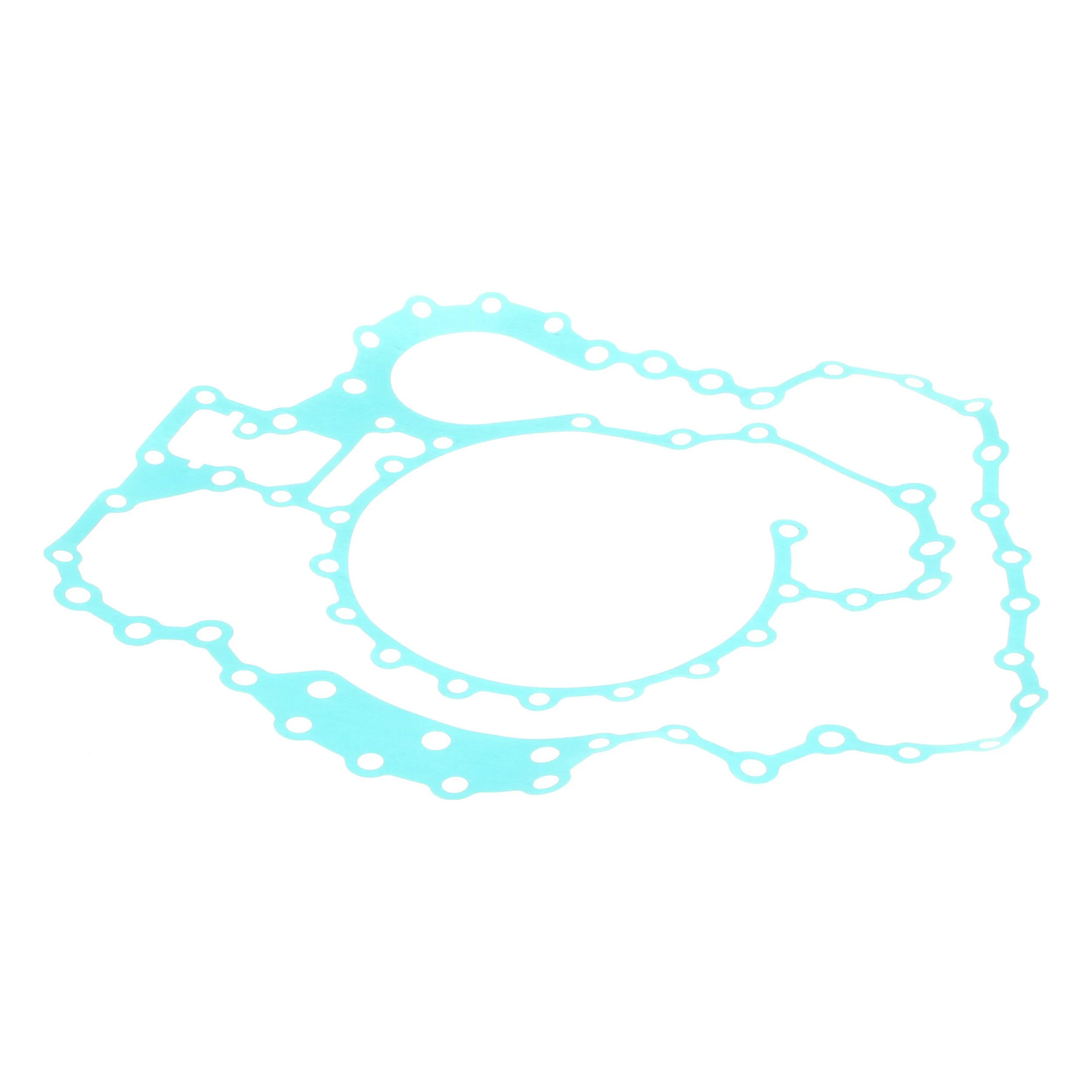 Gasket | FLEXICOIL | US | EN