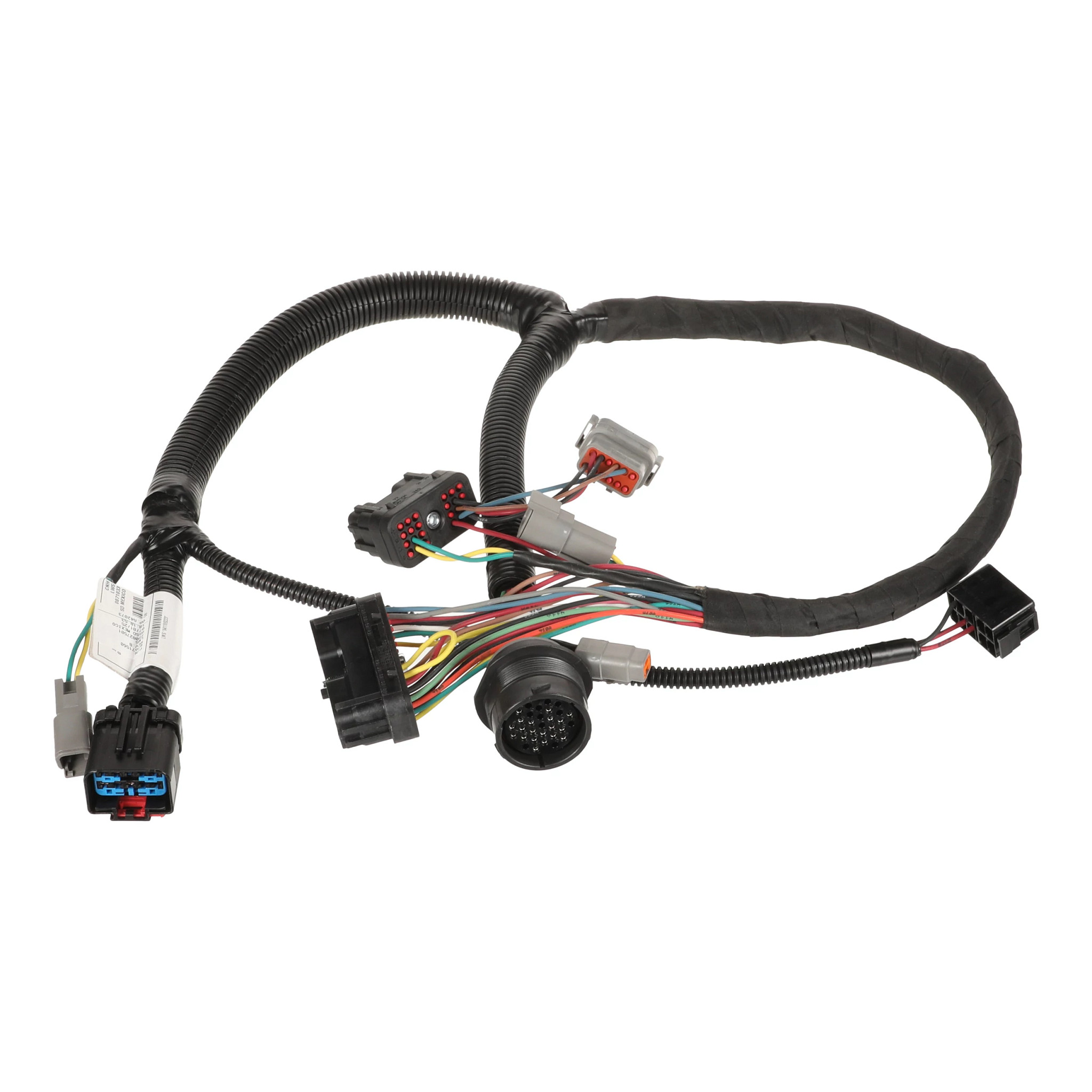 HARNESS | CASECE | CA | EN