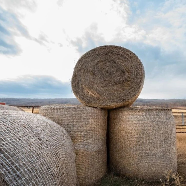 NET WRAP | NEWHOLLANDCE | CA | EN