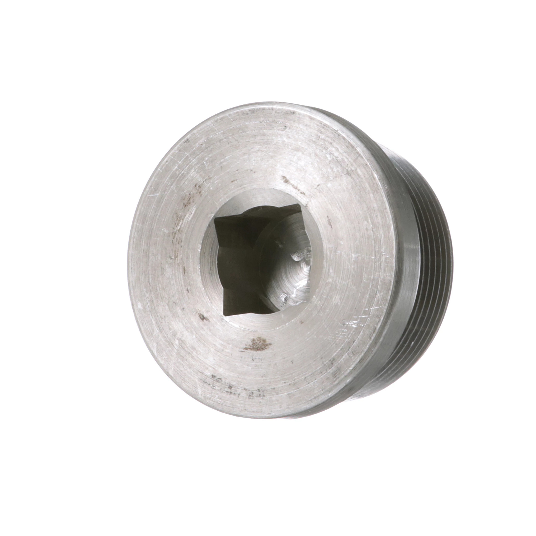 Hex Socket Plug | CASECE | BR | PT