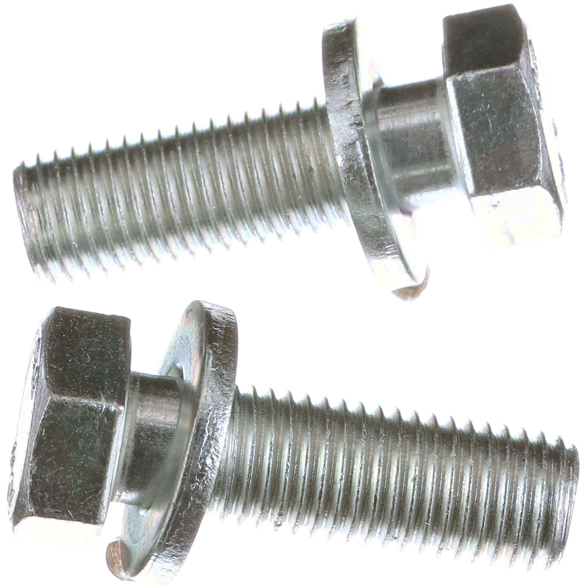 BOLT | CASECE | CA | EN