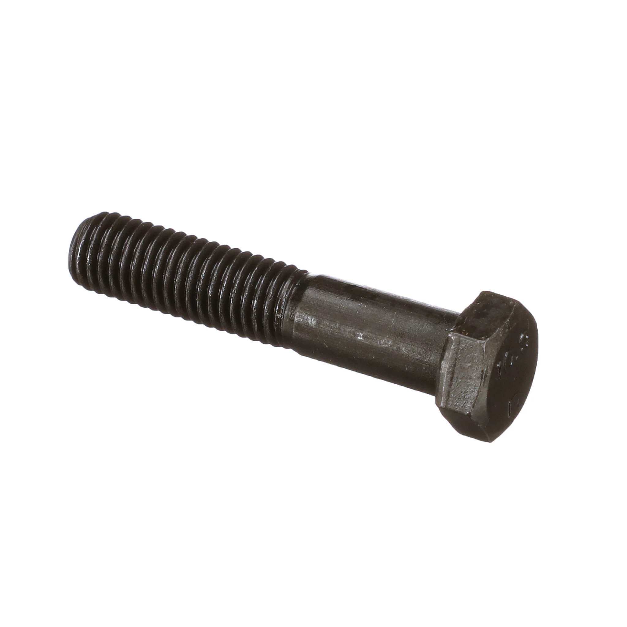 Bolt | CASECE | BR | PT