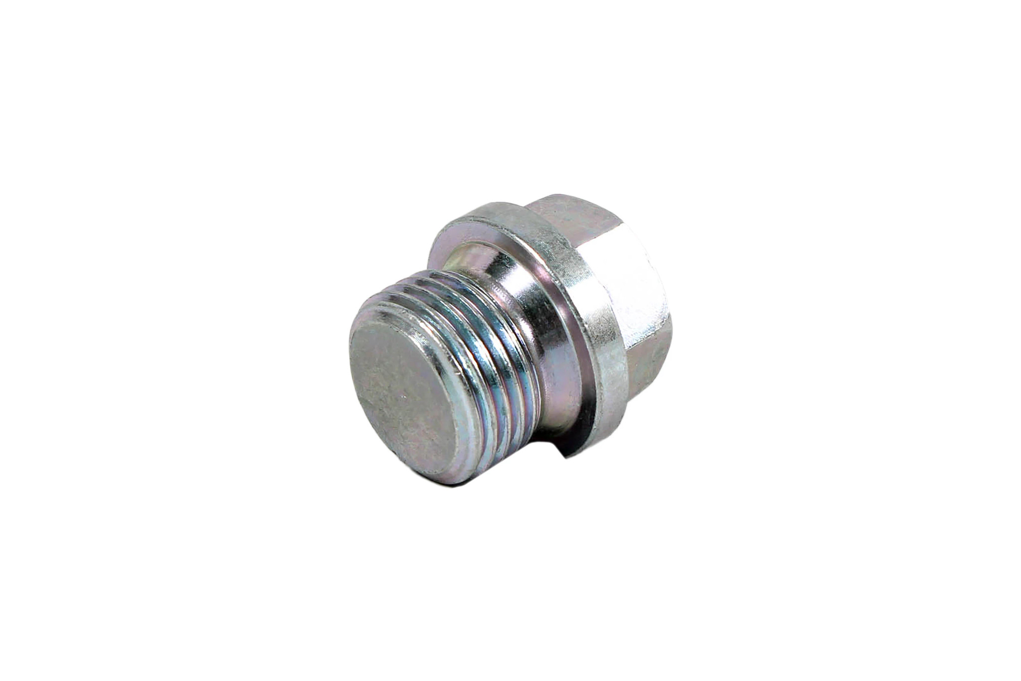 PLUG | CASECE | NZ | EN