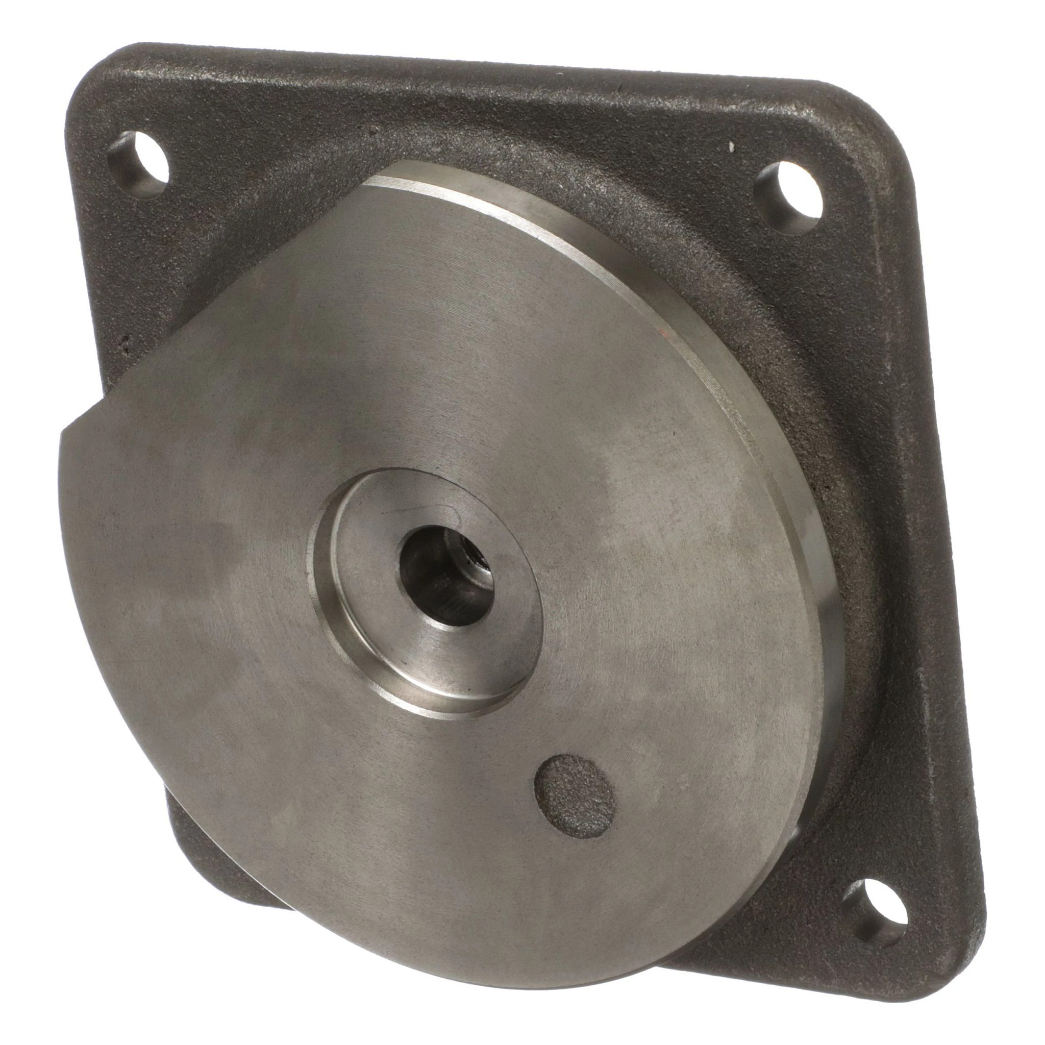 FLANGED BEARING | CASEIH | IE | EN