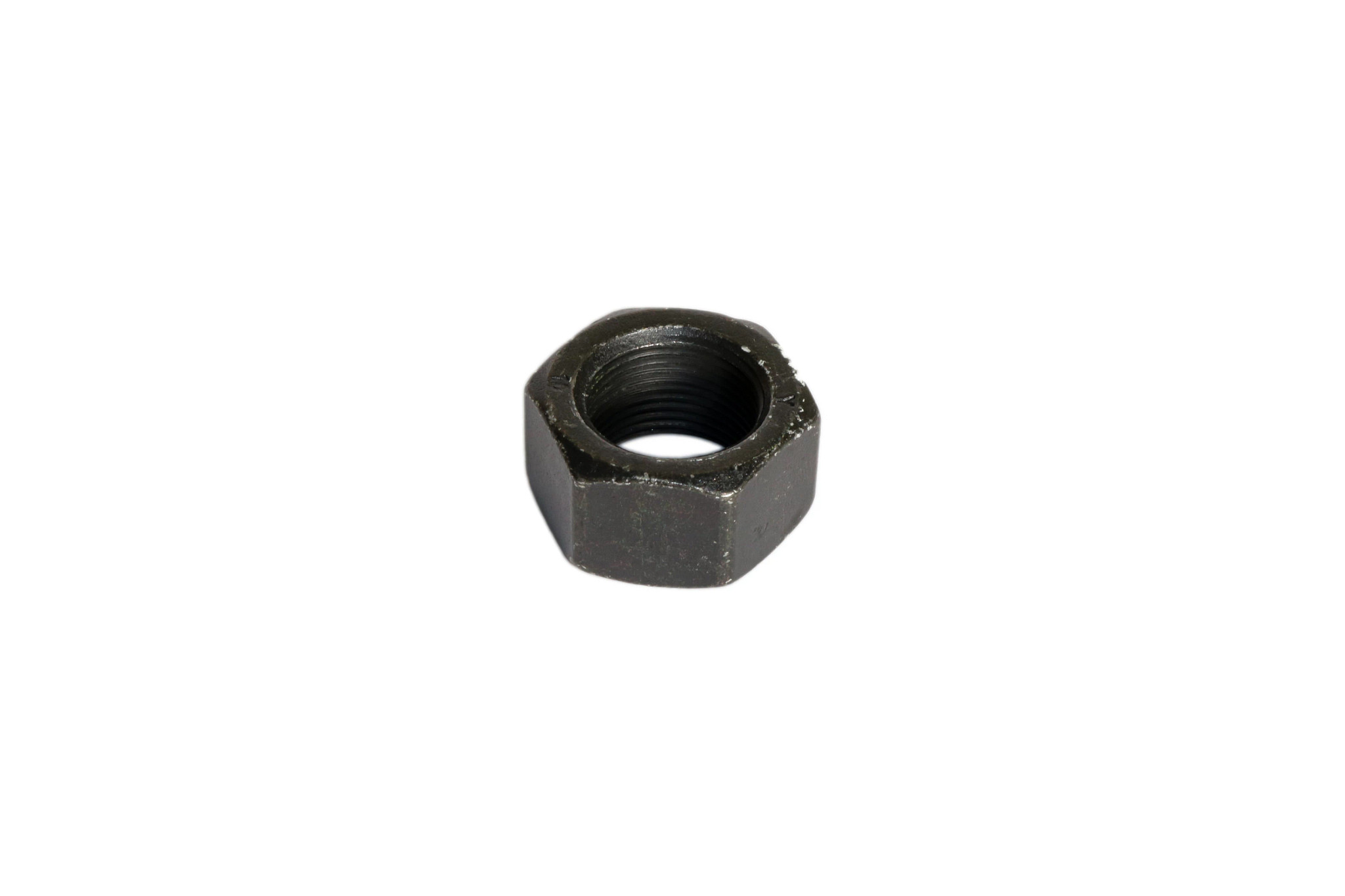 NUT | CASECE | US | EN