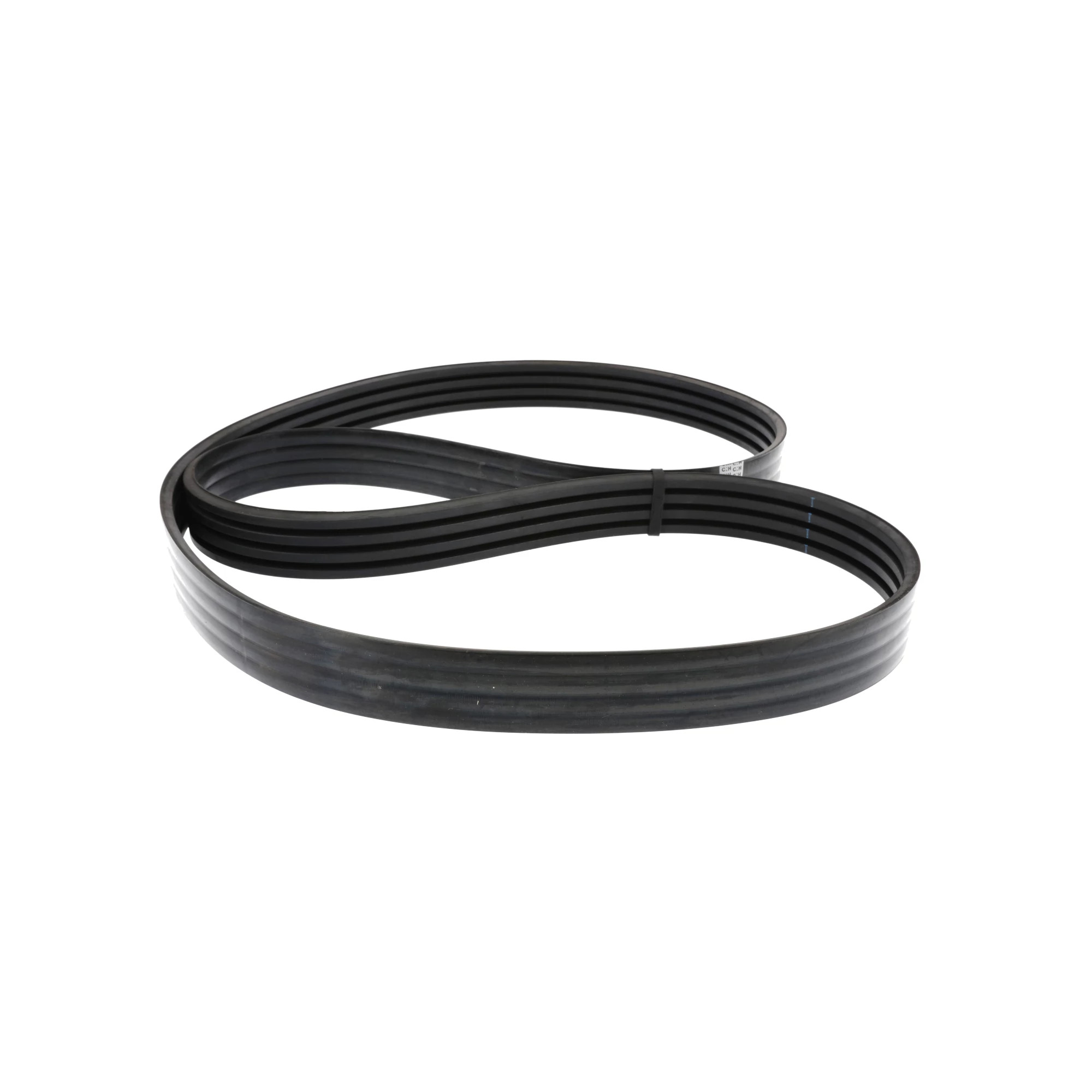 BELT | CASECE | AMEA | EN