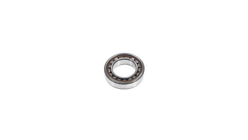 BEARING, ROLLER, CYL | CASEIH | EU | EN