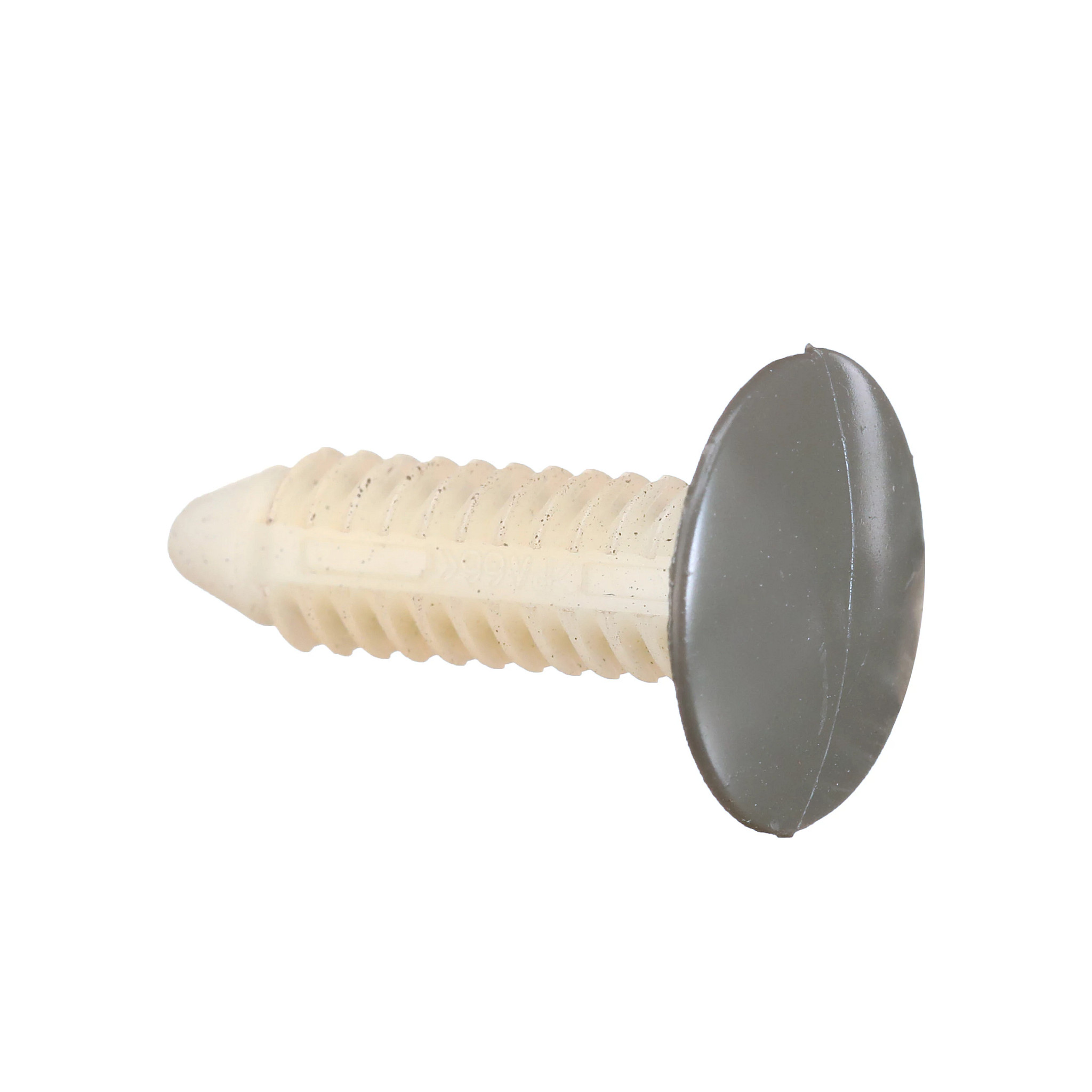 Fixador | CASECE | BR | PT