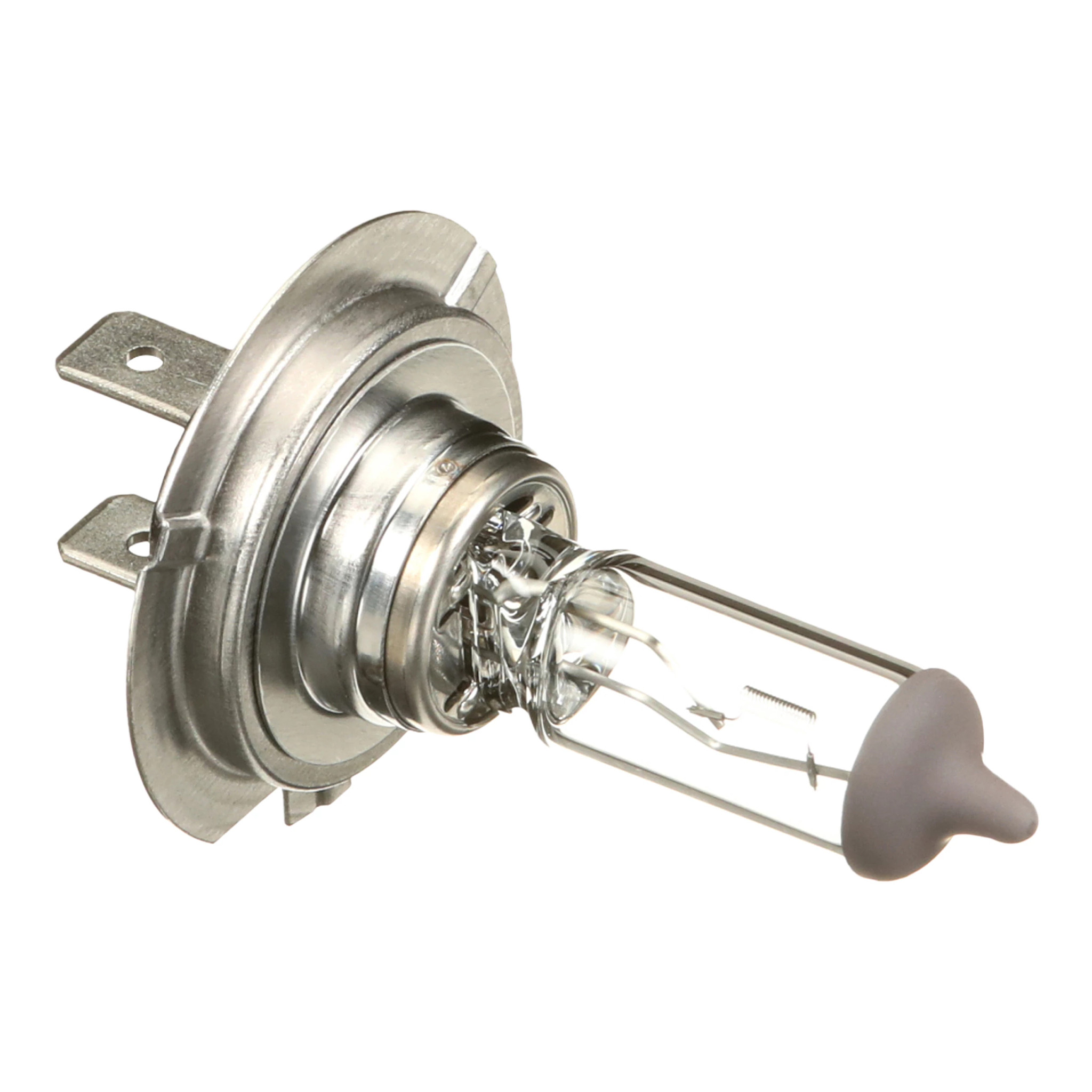 Bulb | STEYR | US | EN