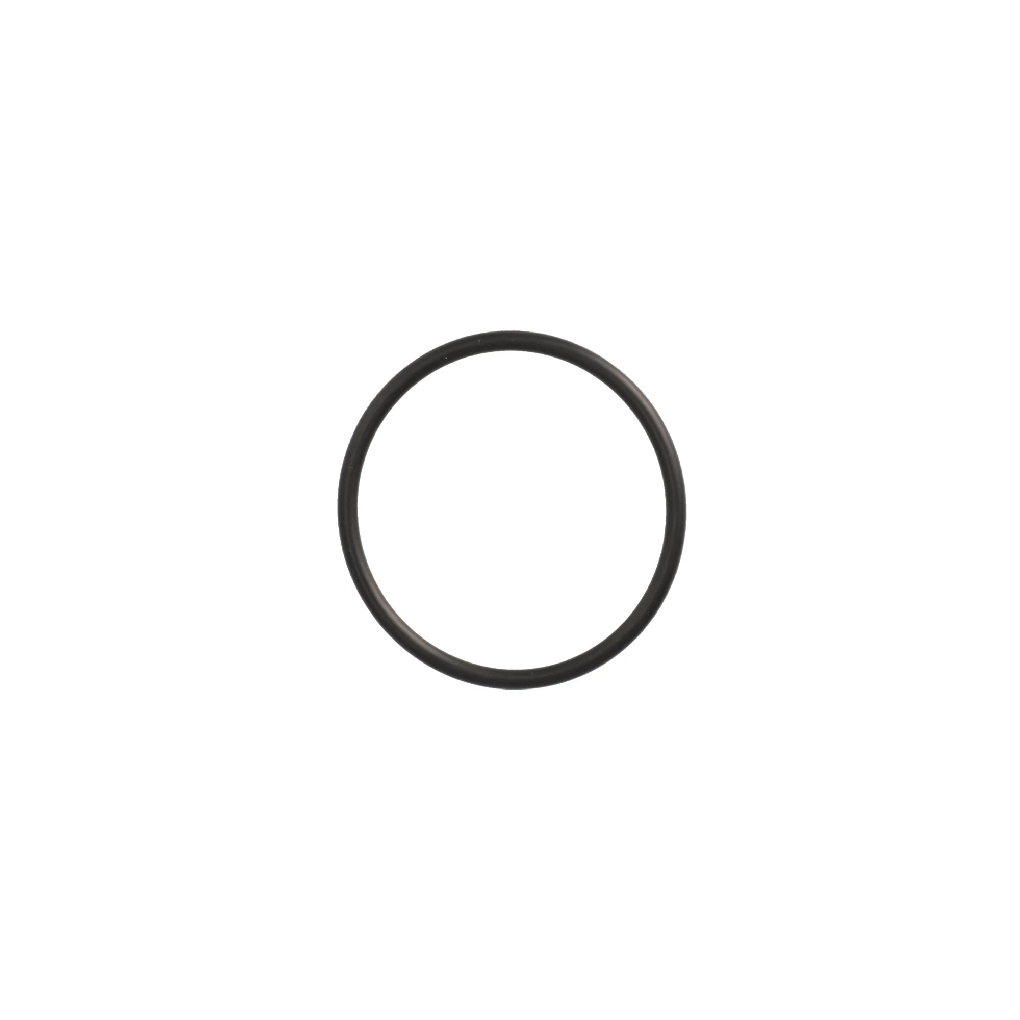 O-RING | CASEIH | CA | EN