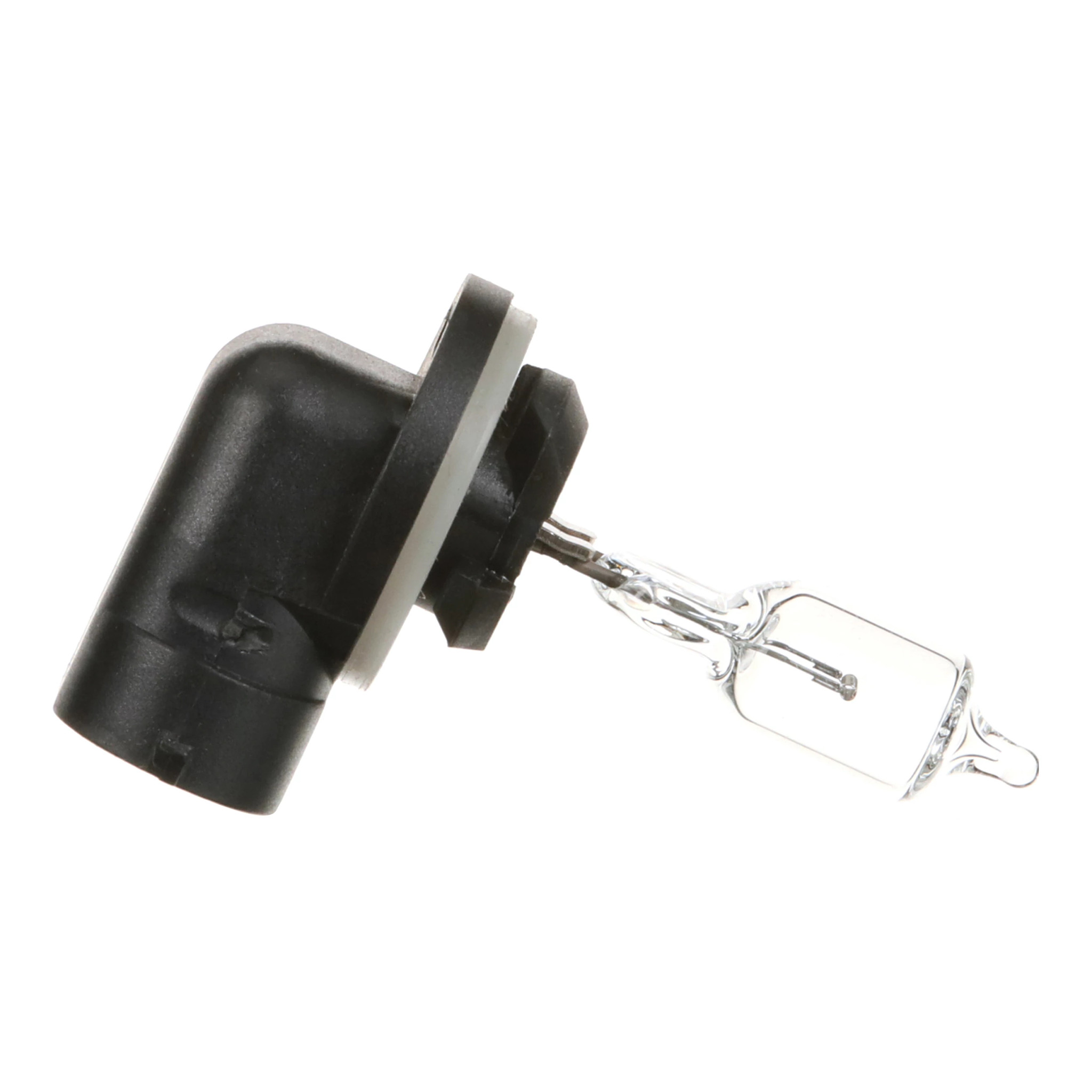 LAMPADINA | DEFAULT | IT | IT