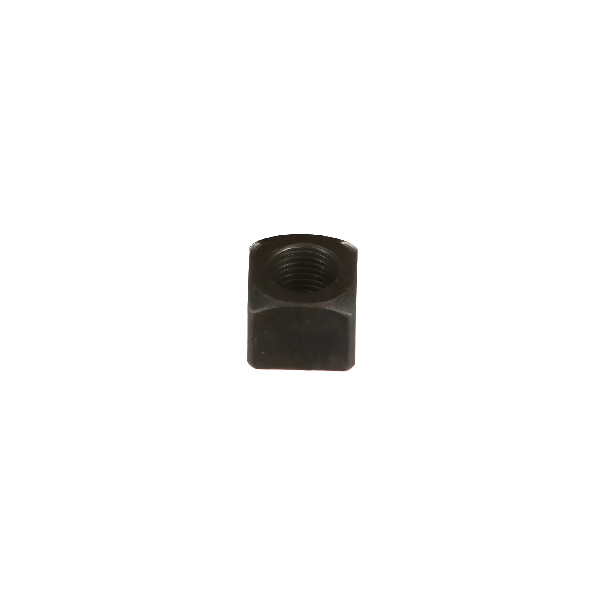 NUT | CASECE | CA | EN