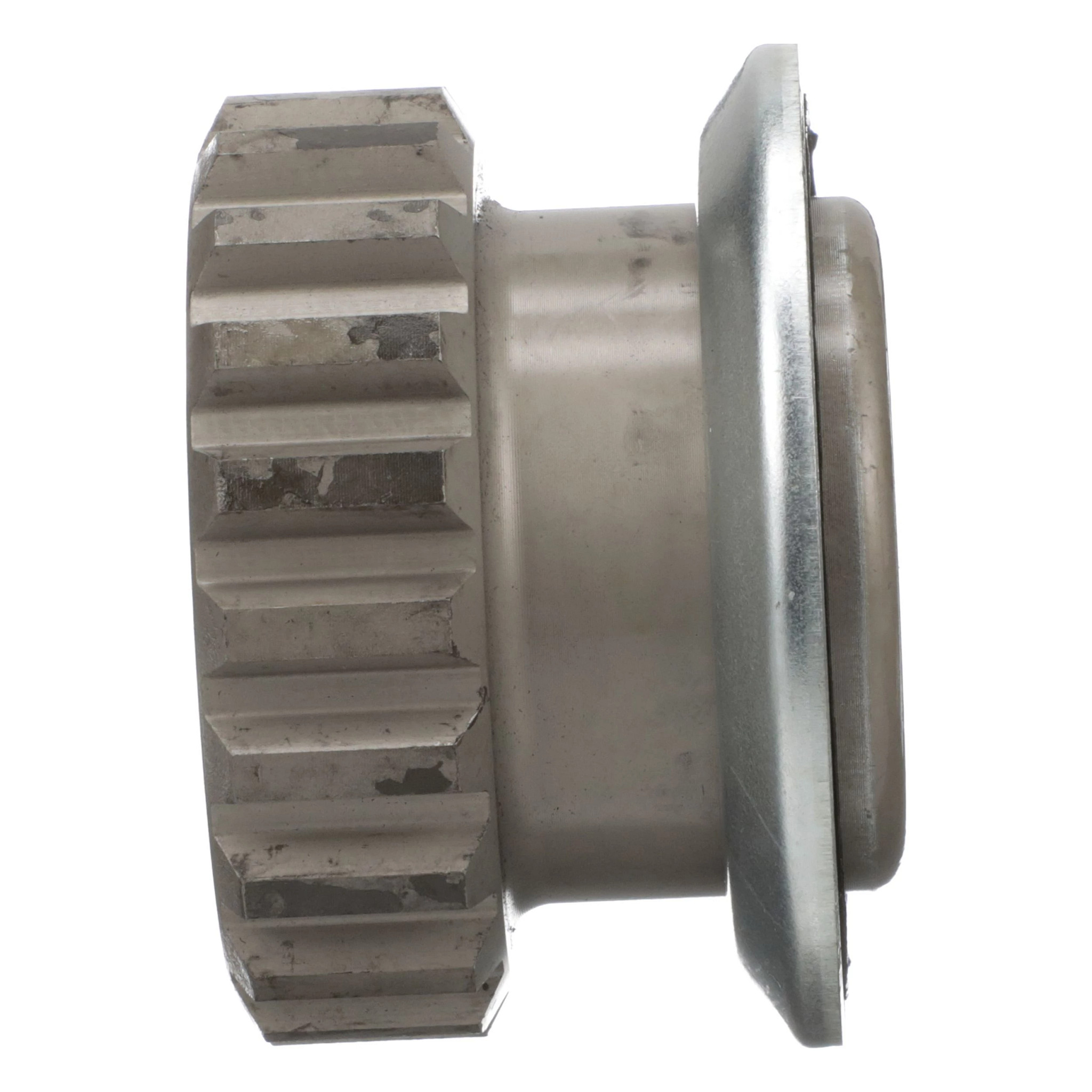 PINHAO TRANSPORTADOR