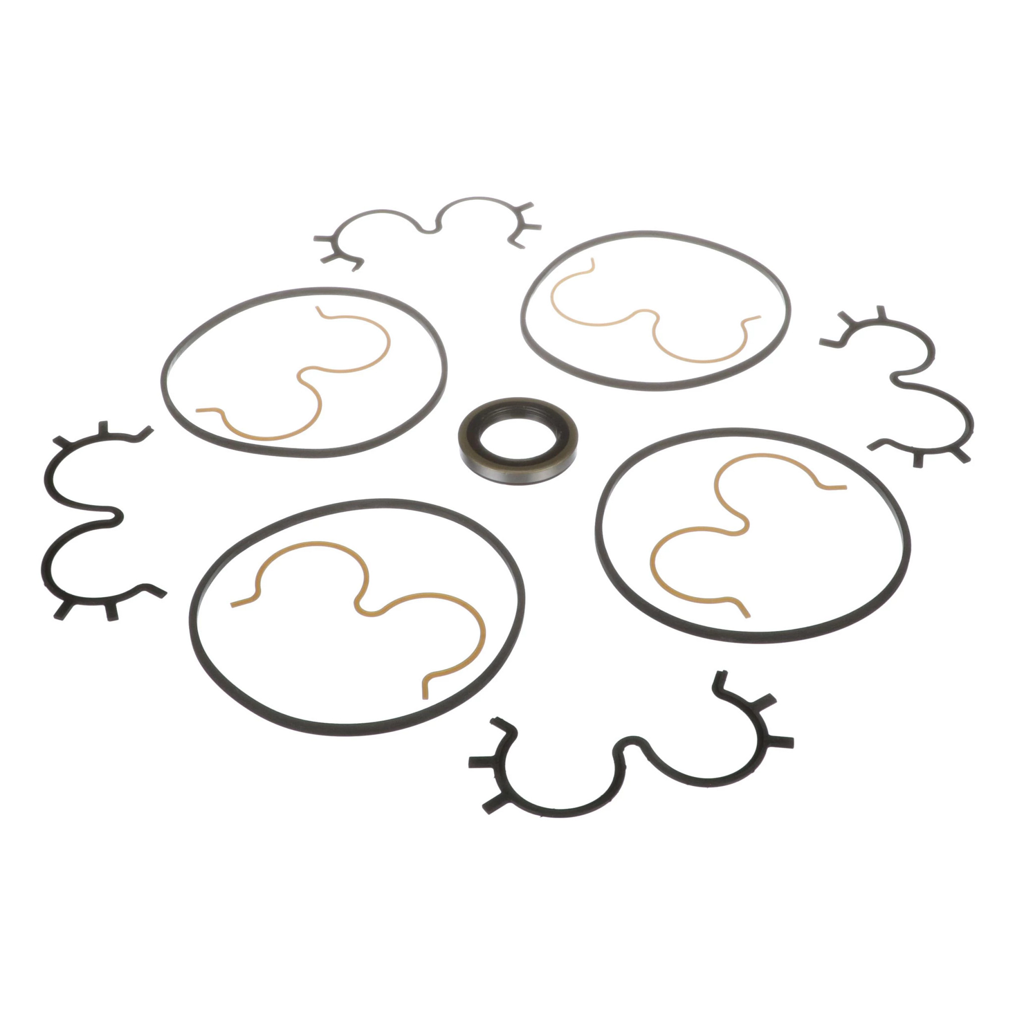 Seal Kit | CASEIH | CA | EN