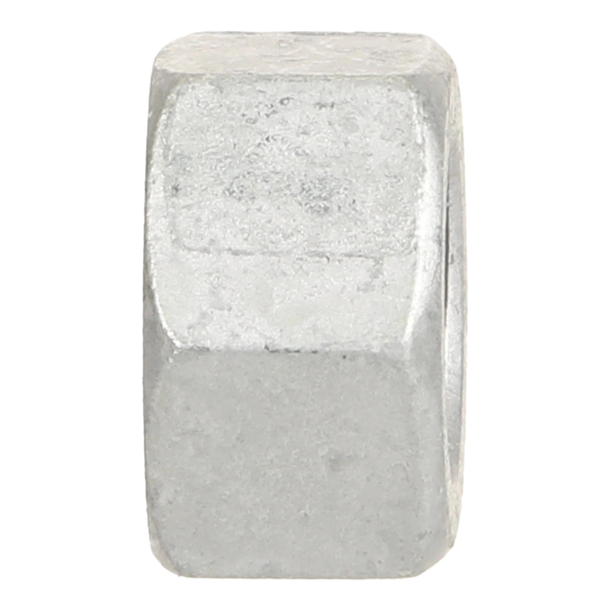 NUT | NEWHOLLANDAG | NZ | EN