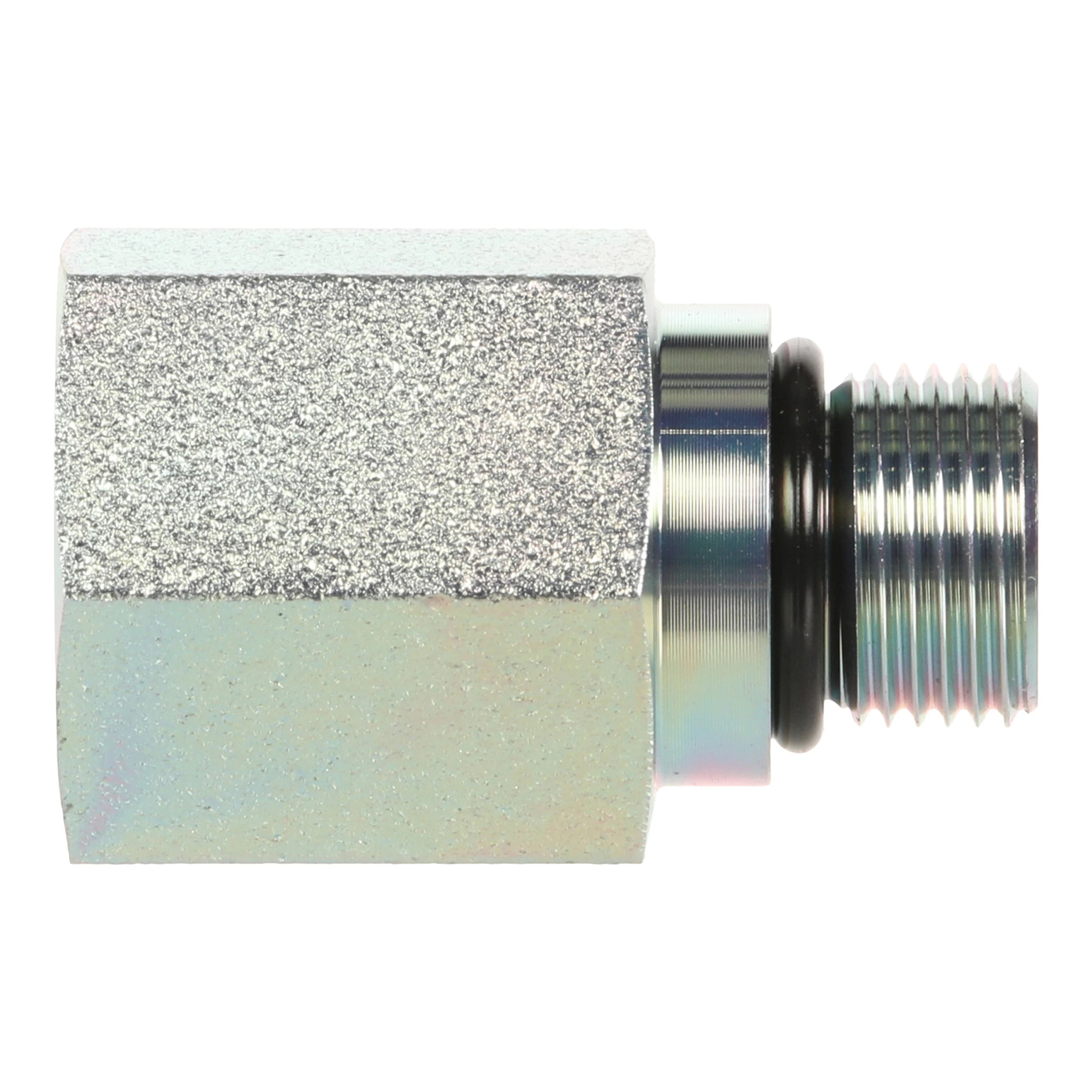 GOUJON | CASECE | AMEA | EN