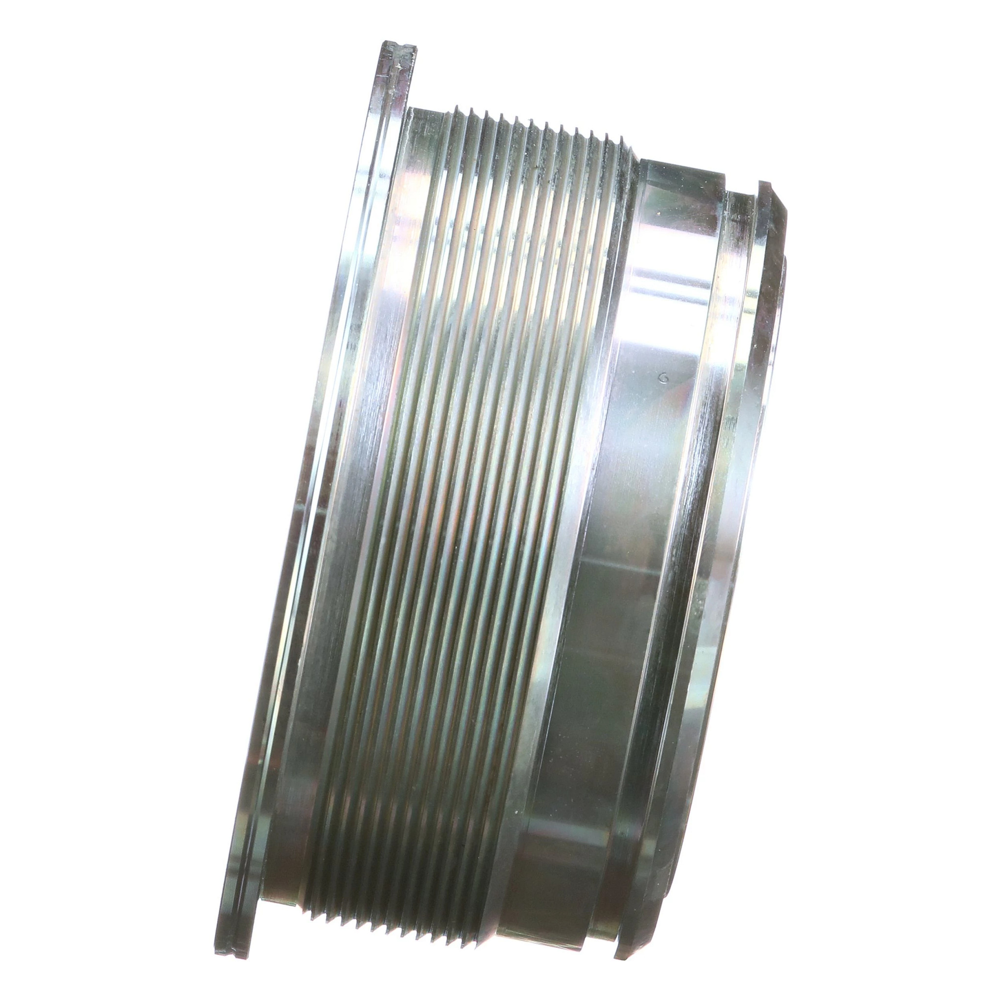 GLAND | CASECE | CA | EN