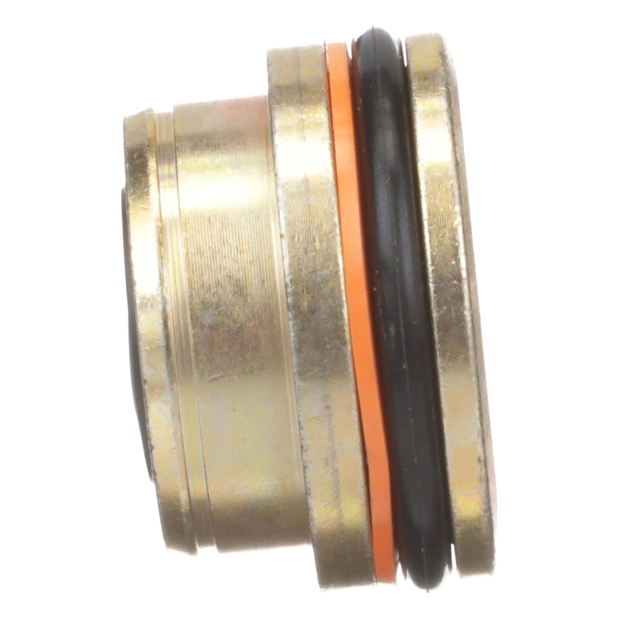 GLAND | CASECE | CA | EN