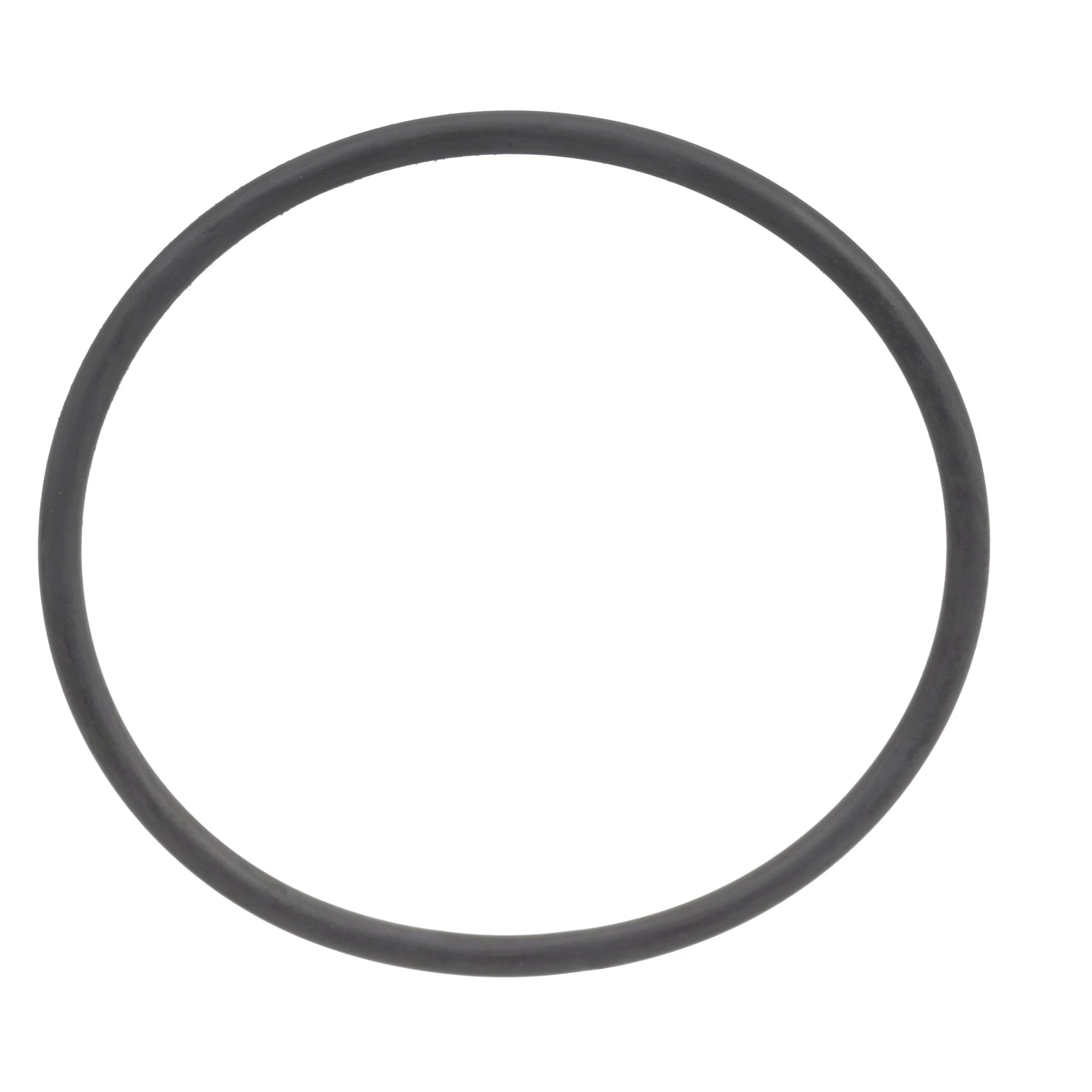 JUNTA TÓRICA | CASEIH | SA | EN