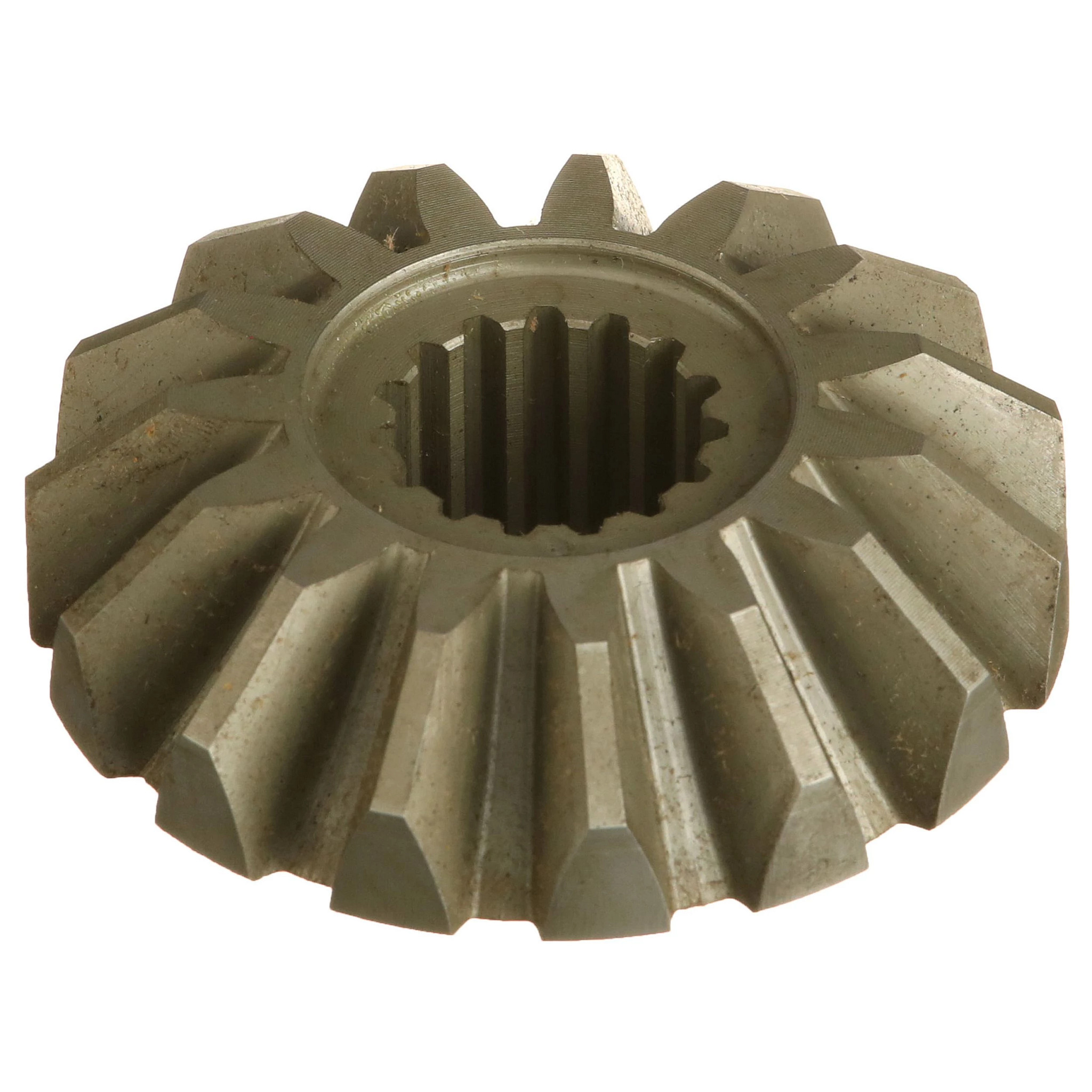 PIGNON CONIQUE | NEWHOLLANDAG | CA | FR