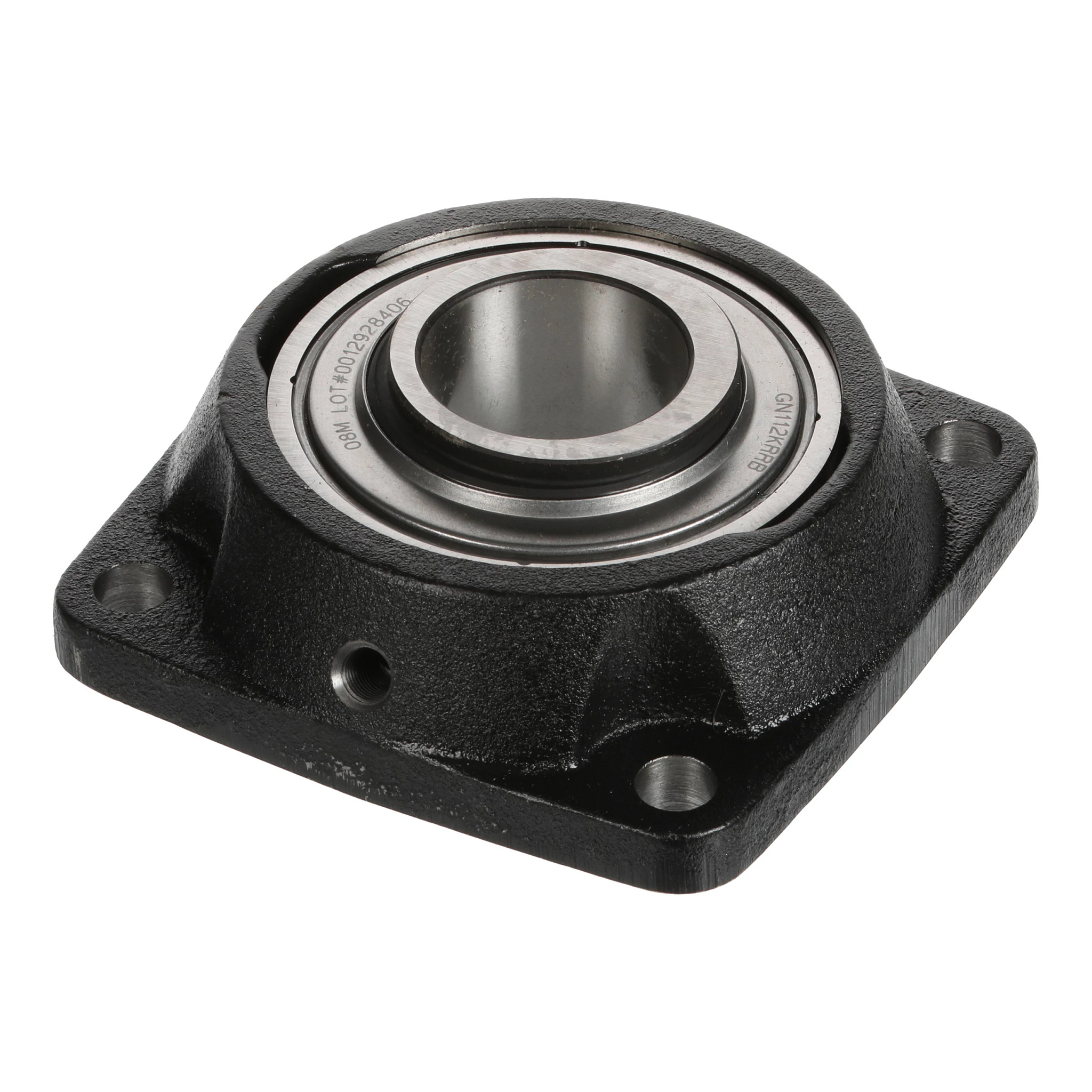 BEARING ASSY | CASEIH | US | EN