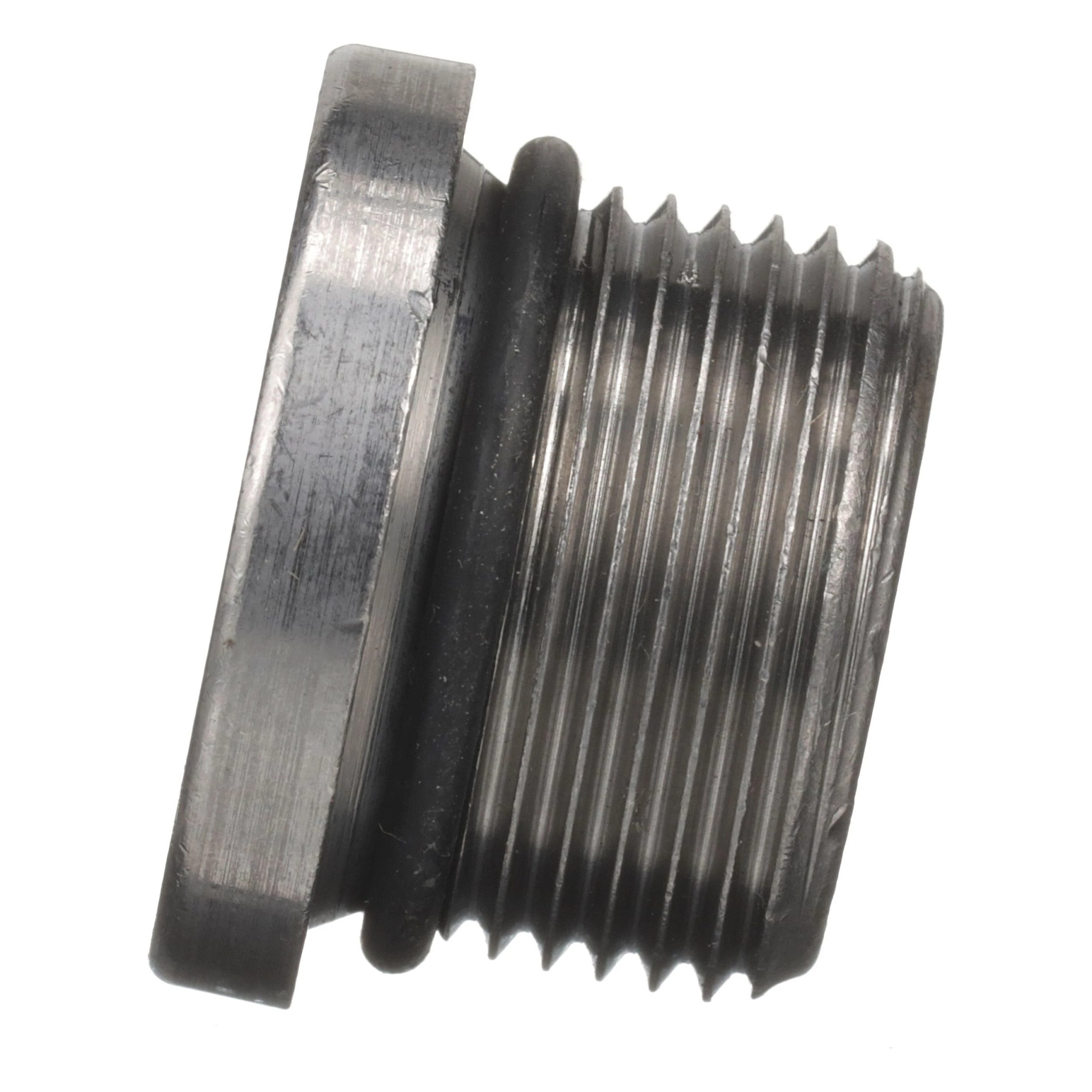 PLUG | CASECE | US | EN