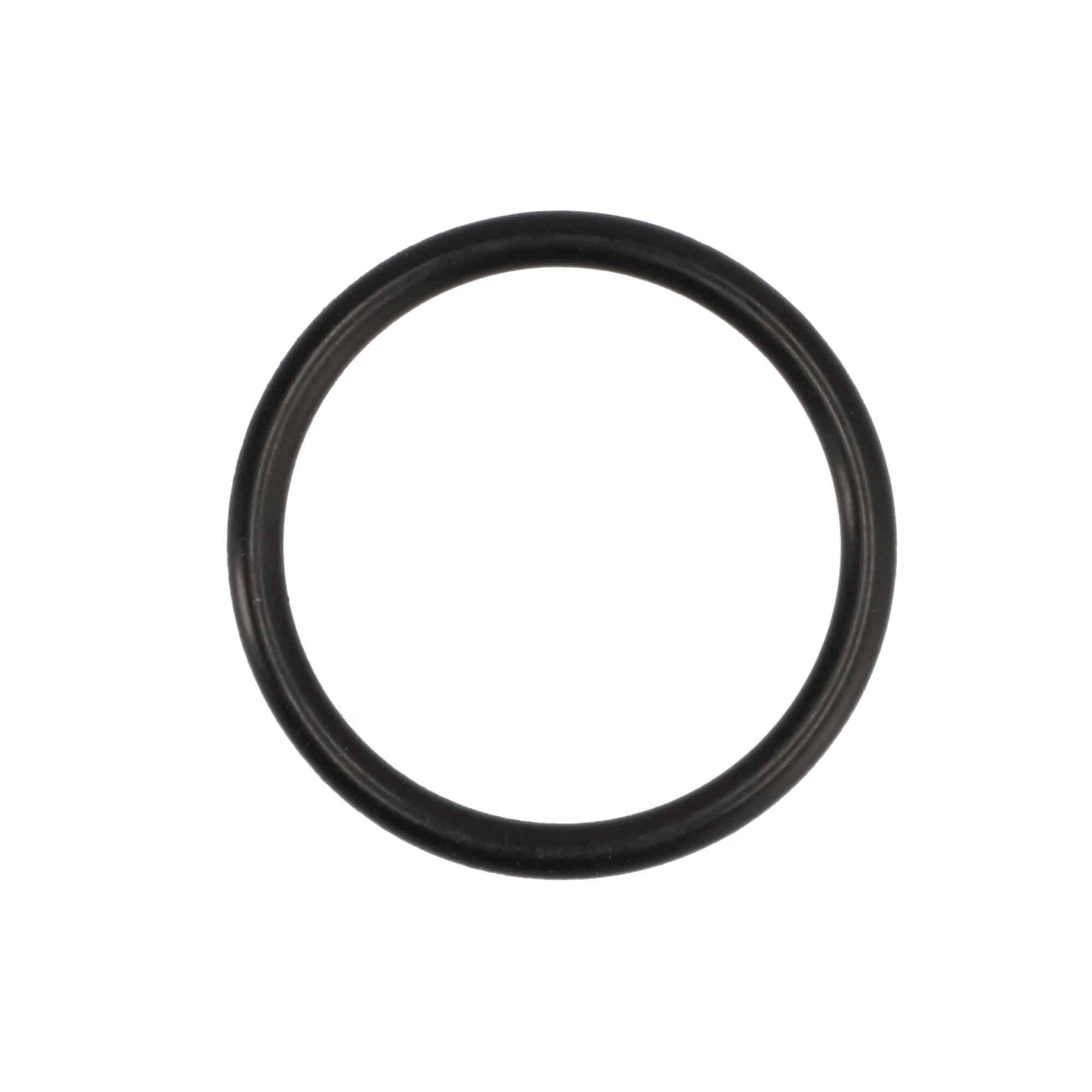 O-RING | CASEIH | US | EN