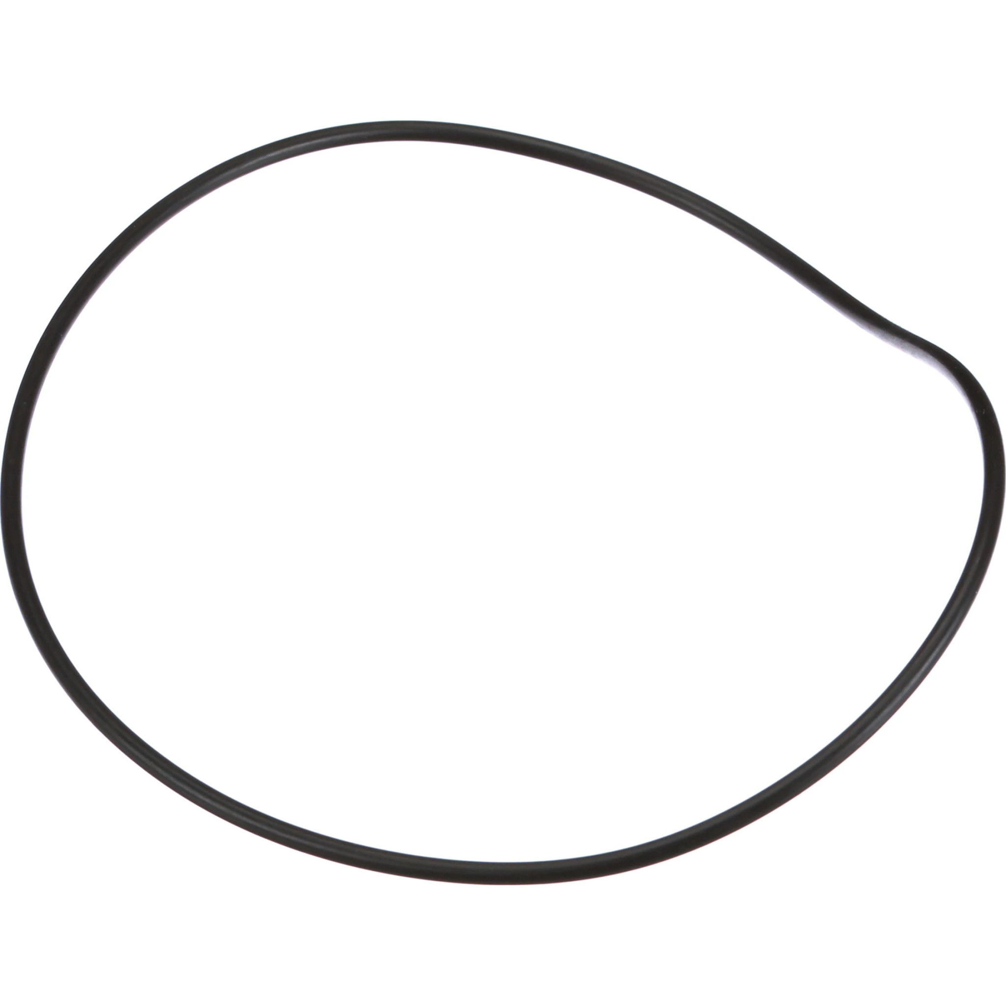 O-RING | CASECE | US | EN