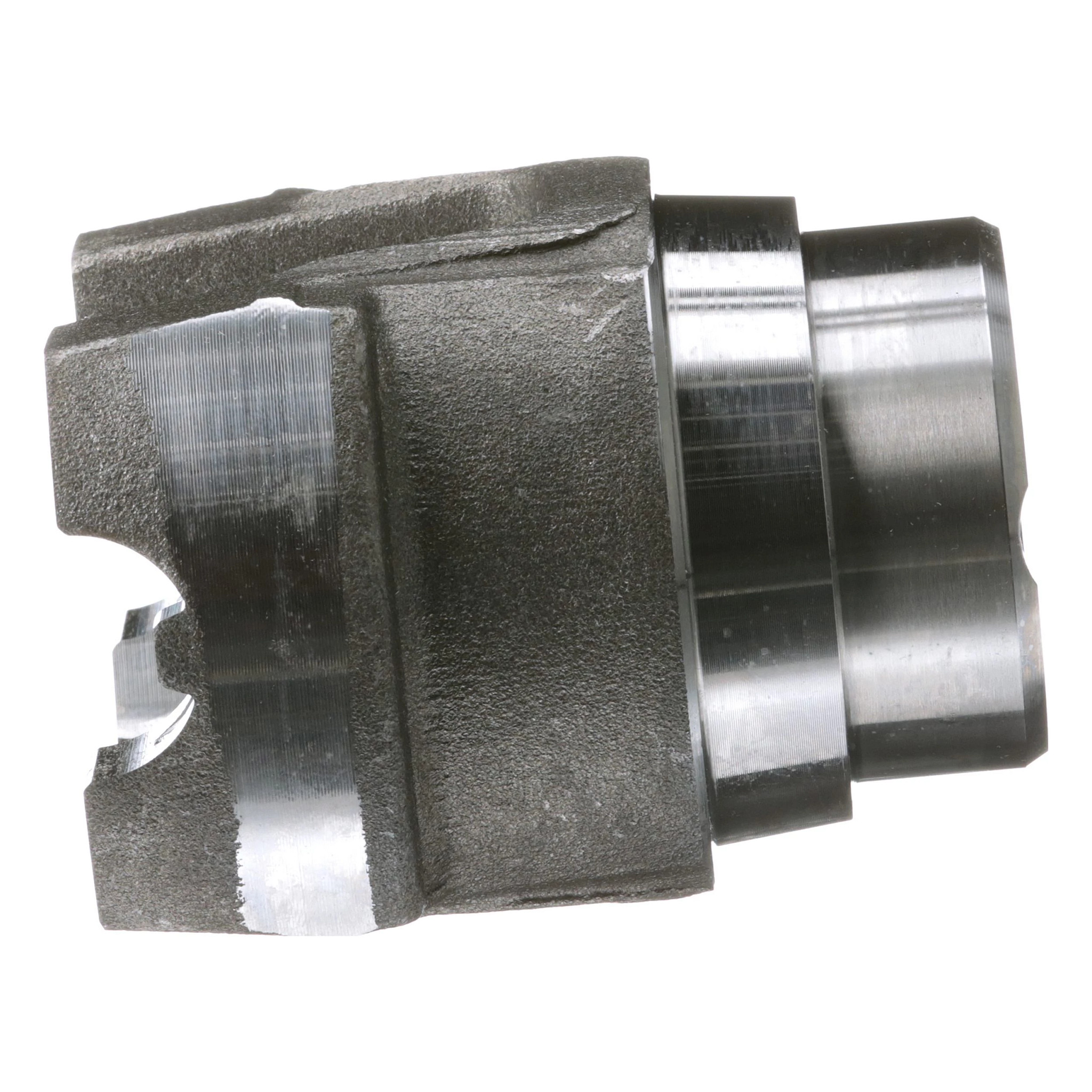 SHIN | CASECE | DE | DE