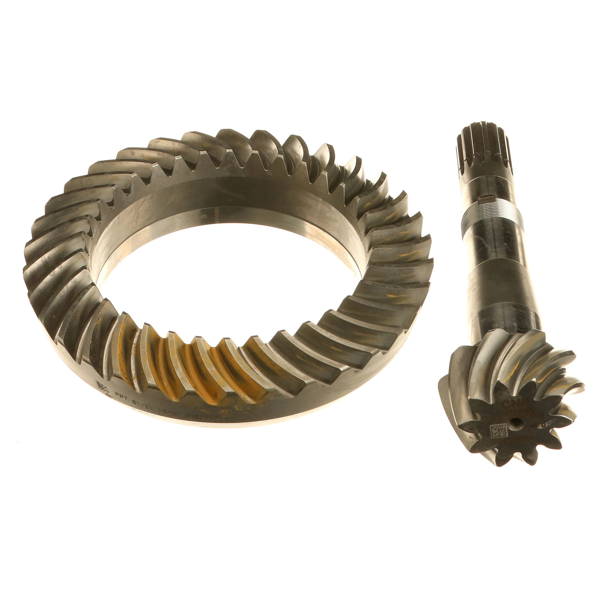 PIGNON CONIQUE | NEWHOLLANDAG | CA | FR