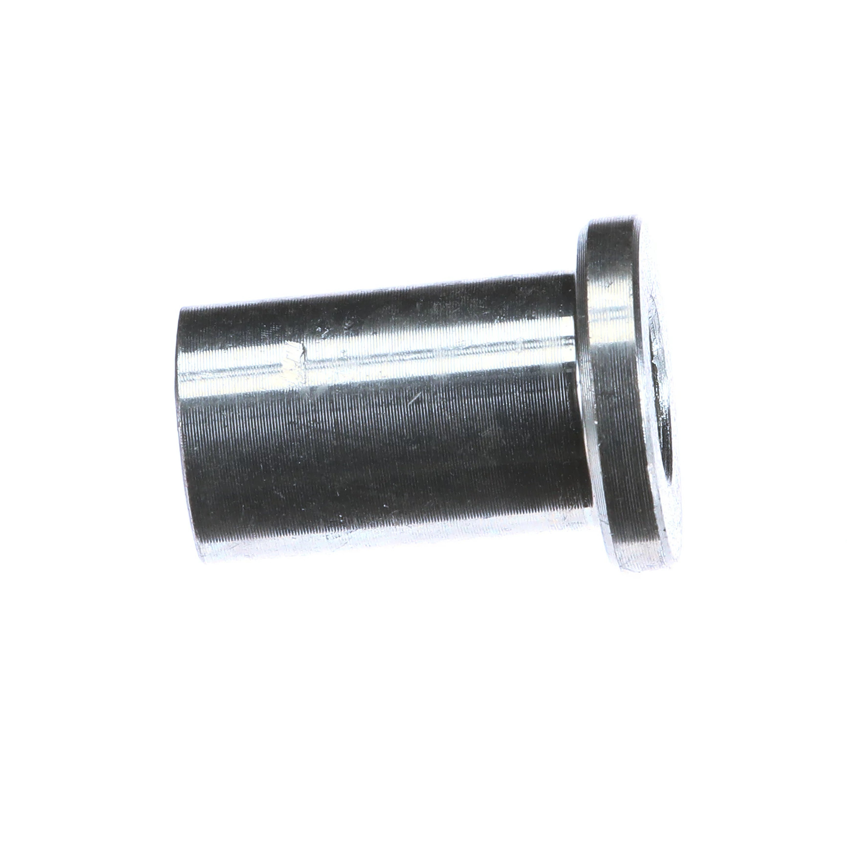 SLEEVE | CASECE | NZ | EN